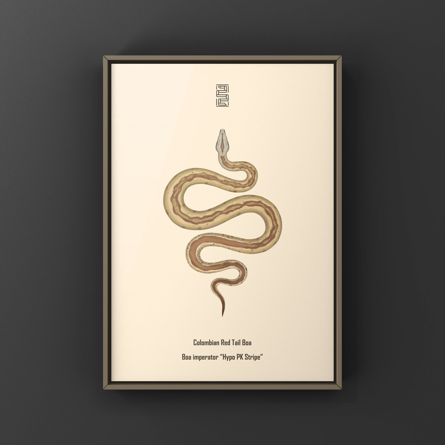 Colorful art print featuring a Colombian Red Tail Boa (Boa imperator) from The Silk Ranch, showcasing detailed snake imagery.