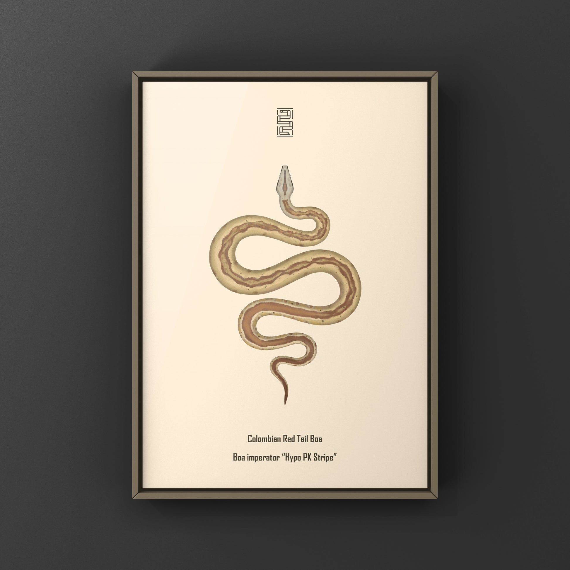 Colorful art print featuring a Colombian Red Tail Boa (Boa imperator) from The Silk Ranch, showcasing detailed snake imagery.