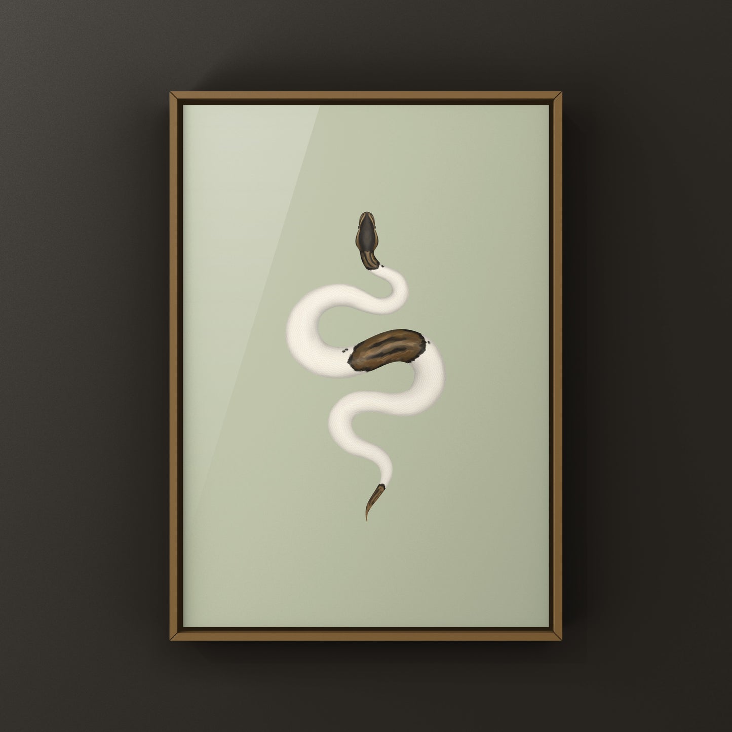 Cinnamon Pied Ball Python art print by The Silk Ranch showing detailed python skin pattern in vibrant colors.