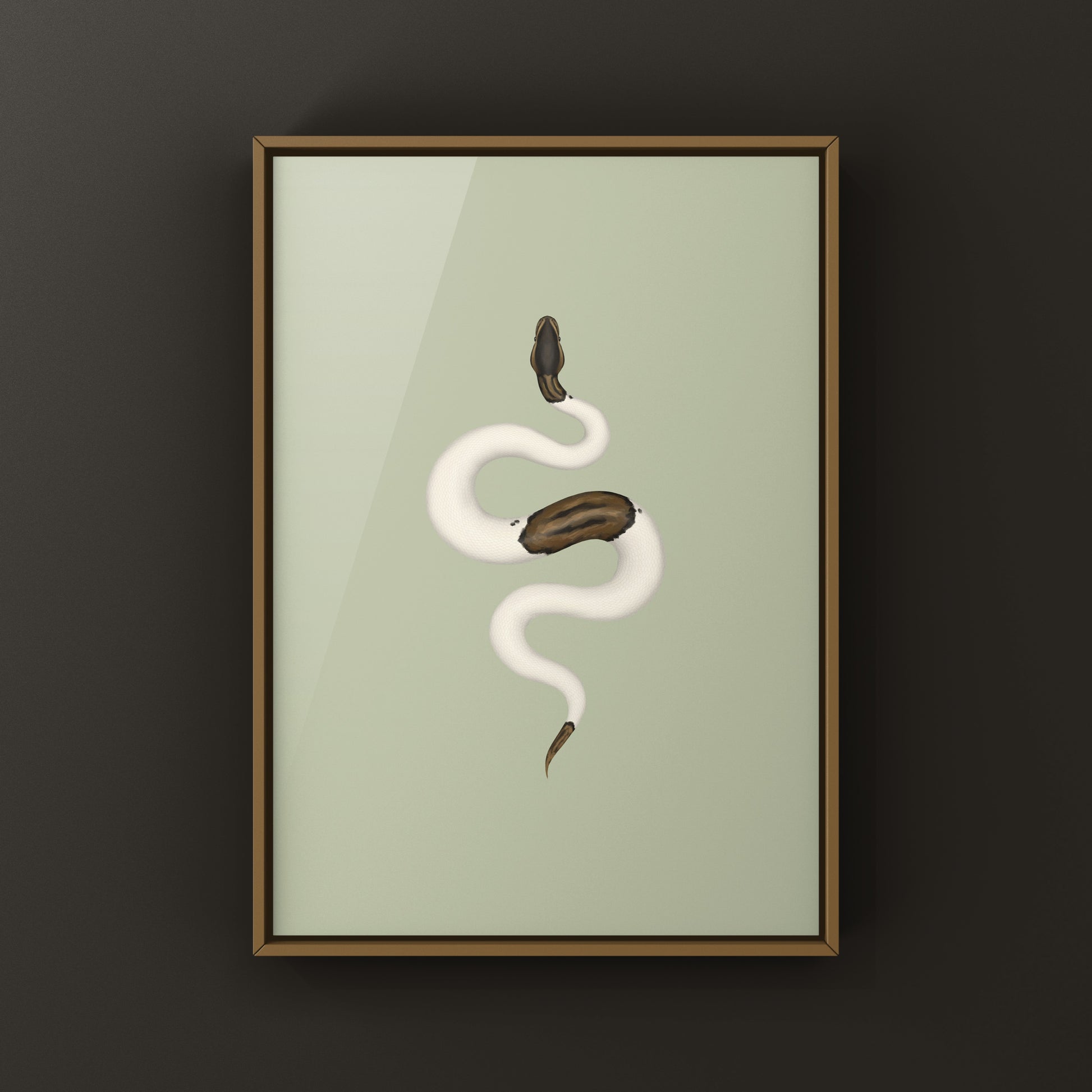 Cinnamon Pied Ball Python art print by The Silk Ranch showing detailed python skin pattern in vibrant colors.