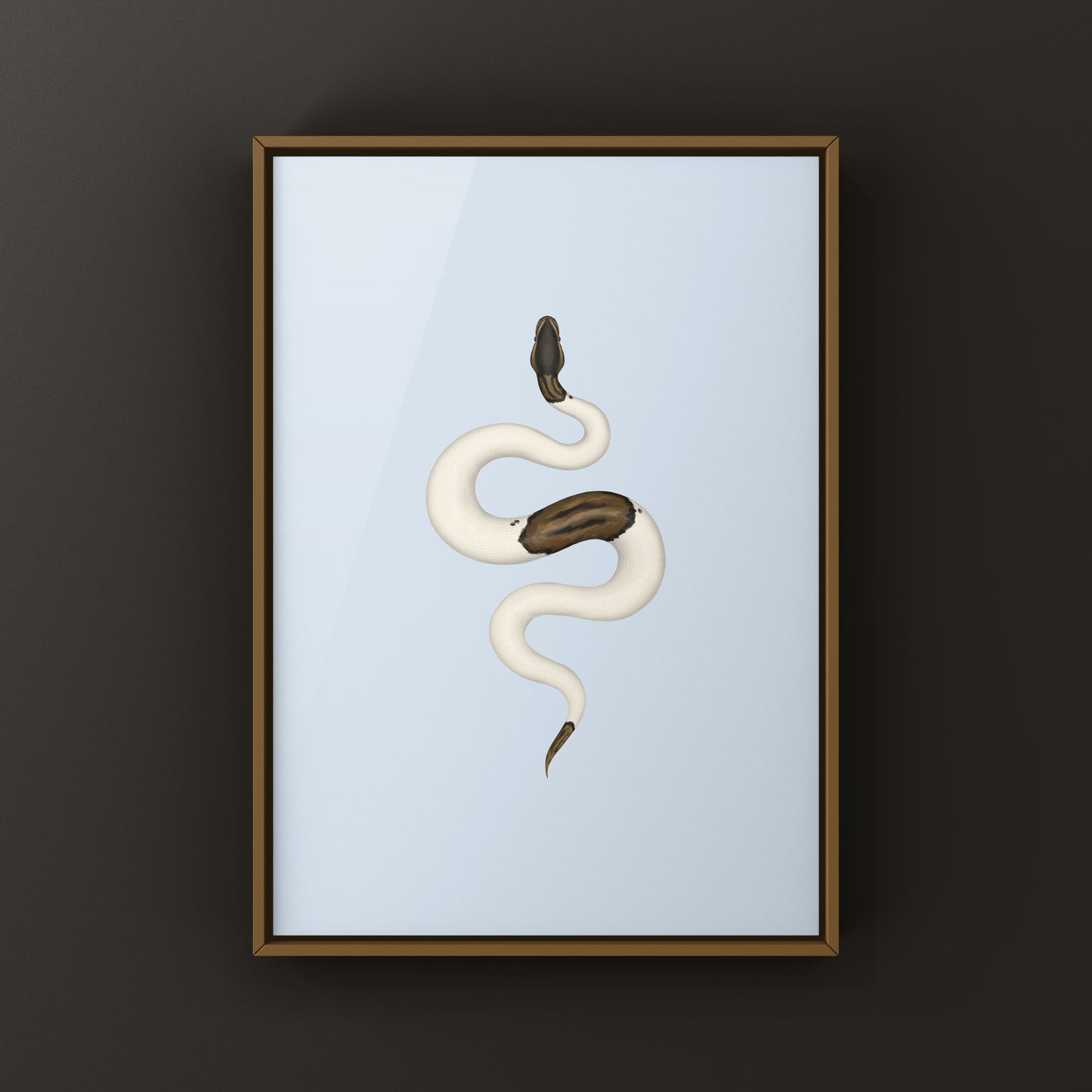 Cinnamon Pied Ball Python art print showcasing detailed illustration of Python regius with unique color pattern and vibrant tones.