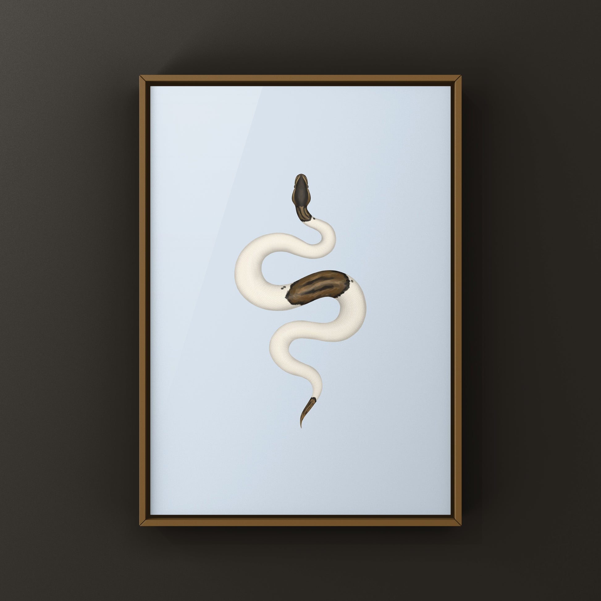 Cinnamon Pied Ball Python art print showcasing detailed illustration of Python regius with unique color pattern and vibrant tones.