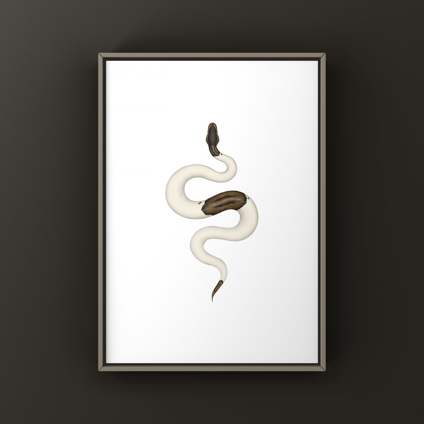 Cinnamon Pied Ball Python art print by The Silk Ranch showing detailed illustration of the snake's distinctive coloration and pattern.