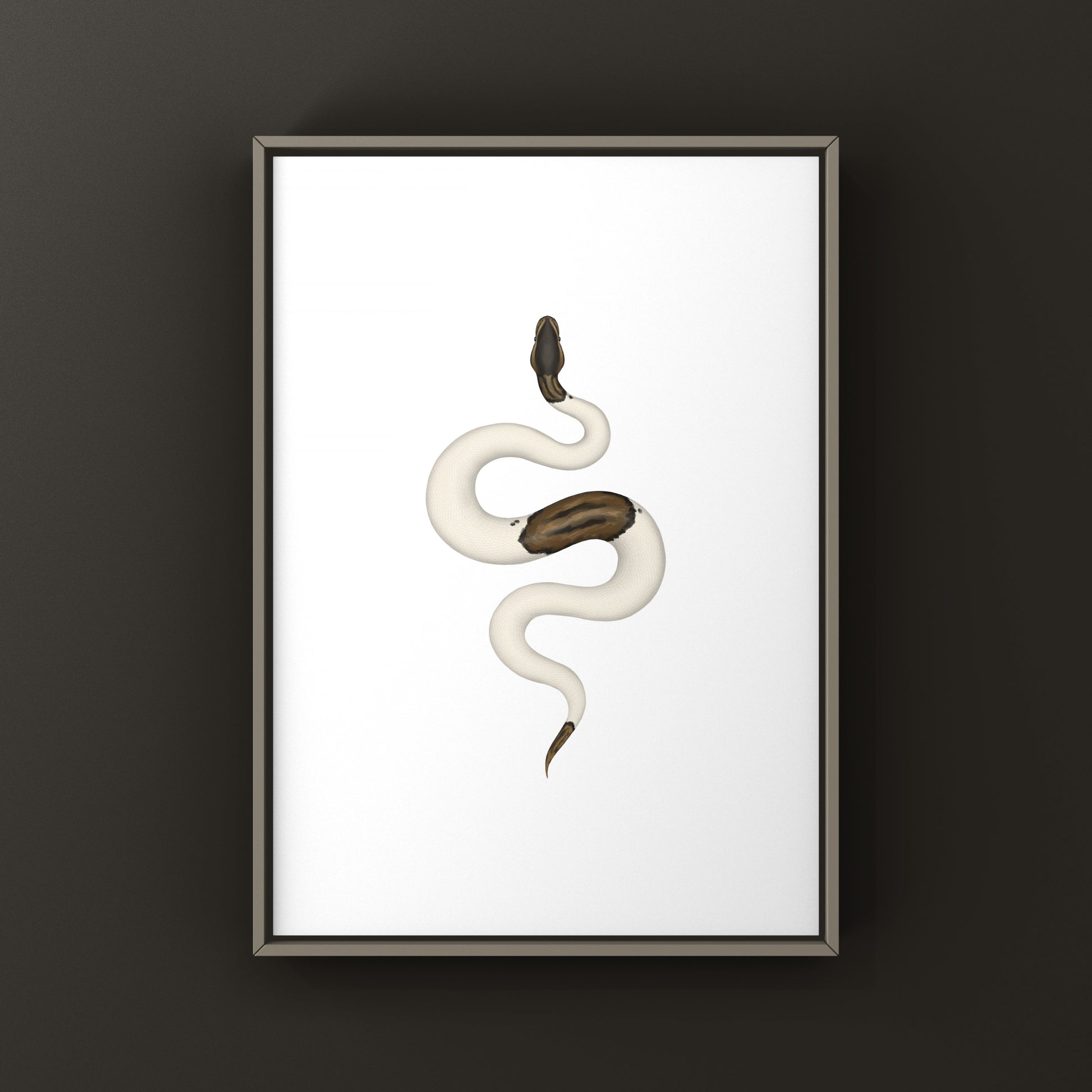 Cinnamon Pied Ball Python art print by The Silk Ranch showing detailed illustration of the snake's distinctive coloration and pattern.