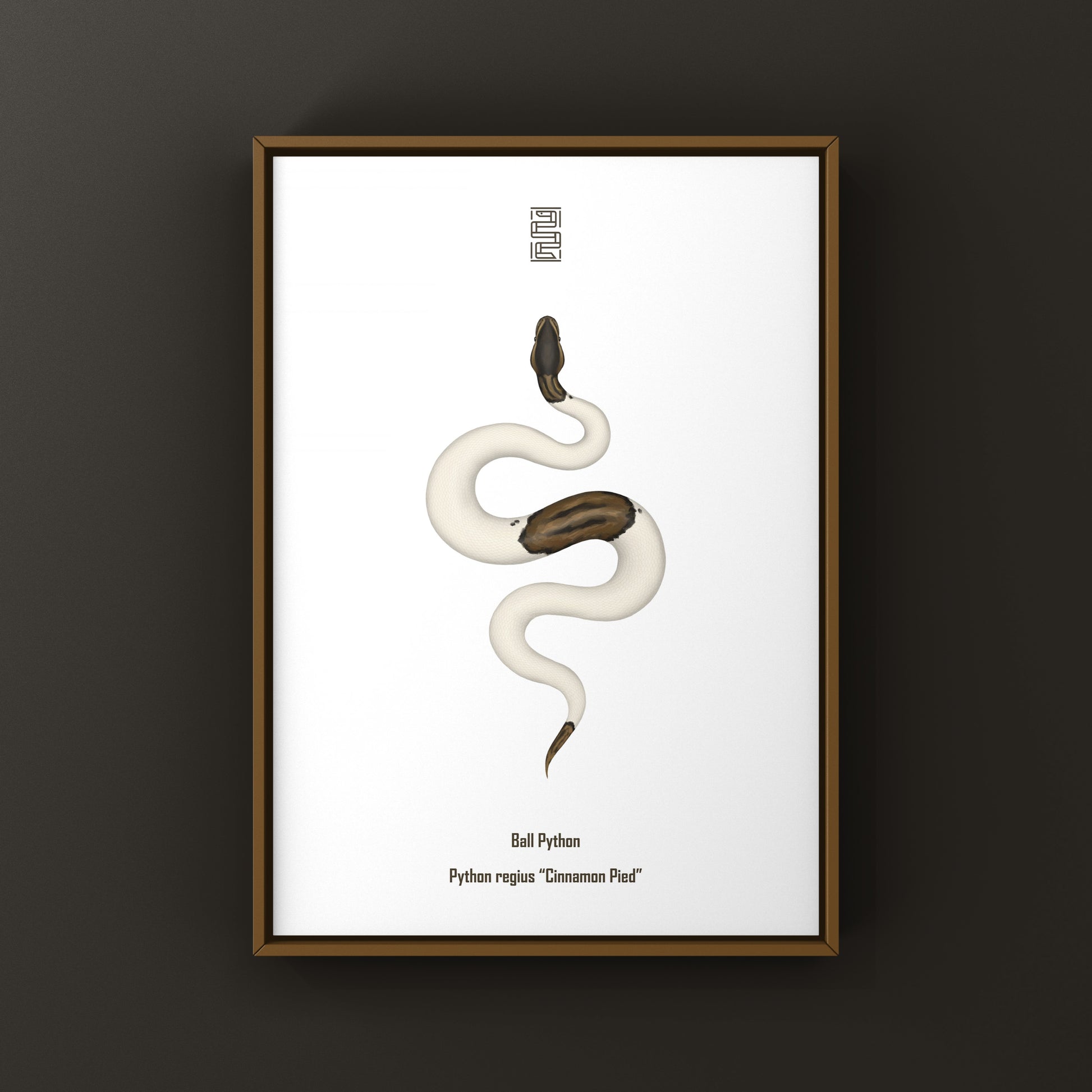 Cinnamon Pied Ball Python art print showing detailed illustration of the Python regius with unique cinnamon and pied markings.