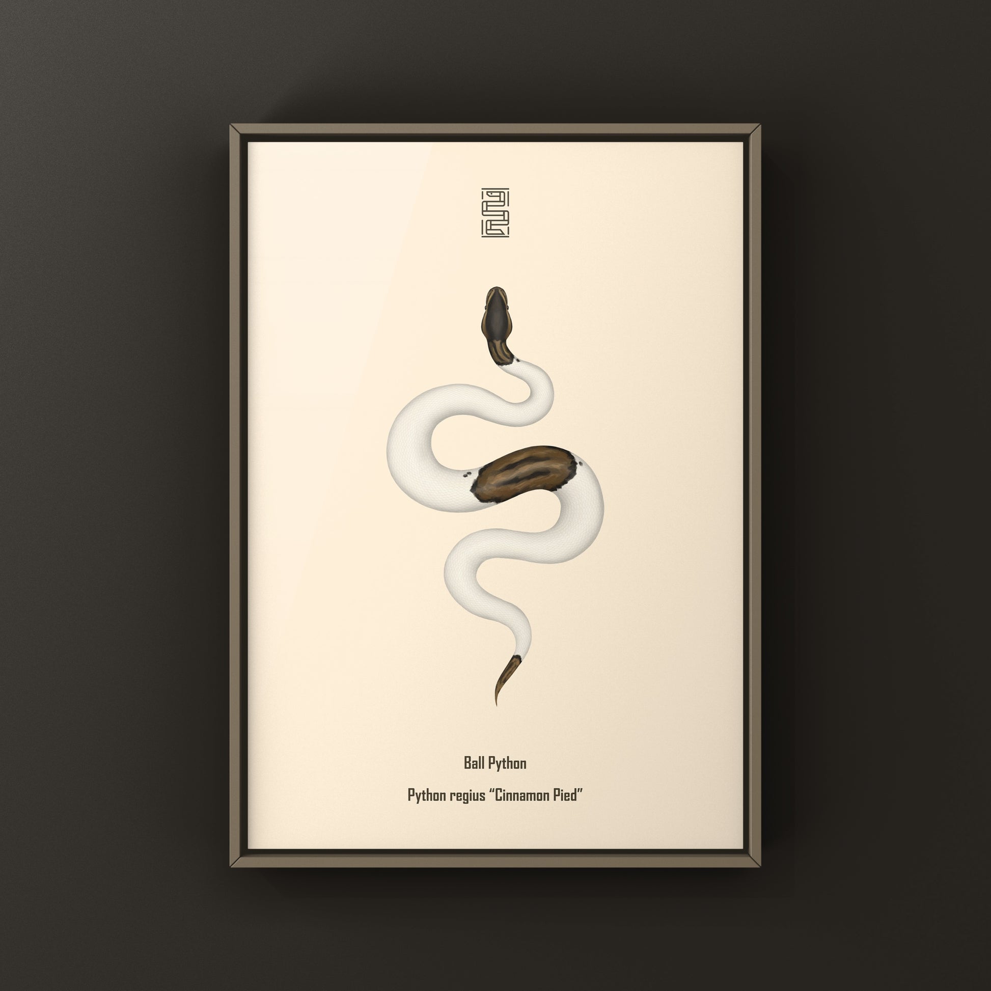 Cinnamon Pied Ball Python art print featuring realistic python design by The Silk Ranch, showcasing detailed snake artwork.