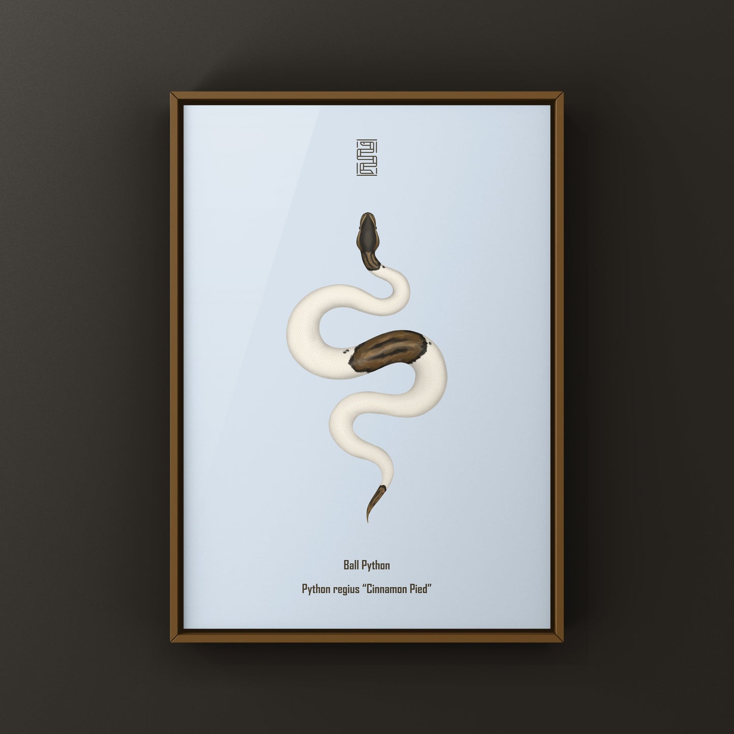 Cinnamon Pied Ball Python art print showcasing vibrant snake patterns, printed by The Silk Ranch.