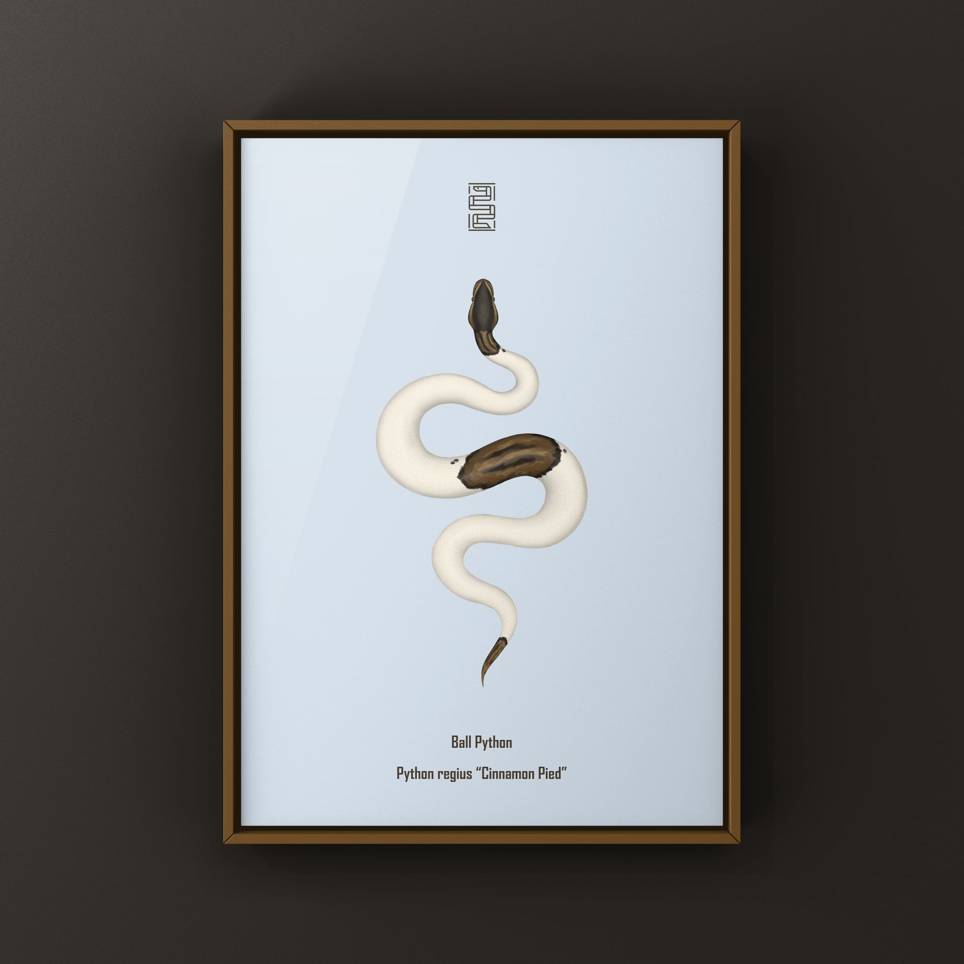 Cinnamon Pied Ball Python art print showcasing vibrant snake patterns, printed by The Silk Ranch.