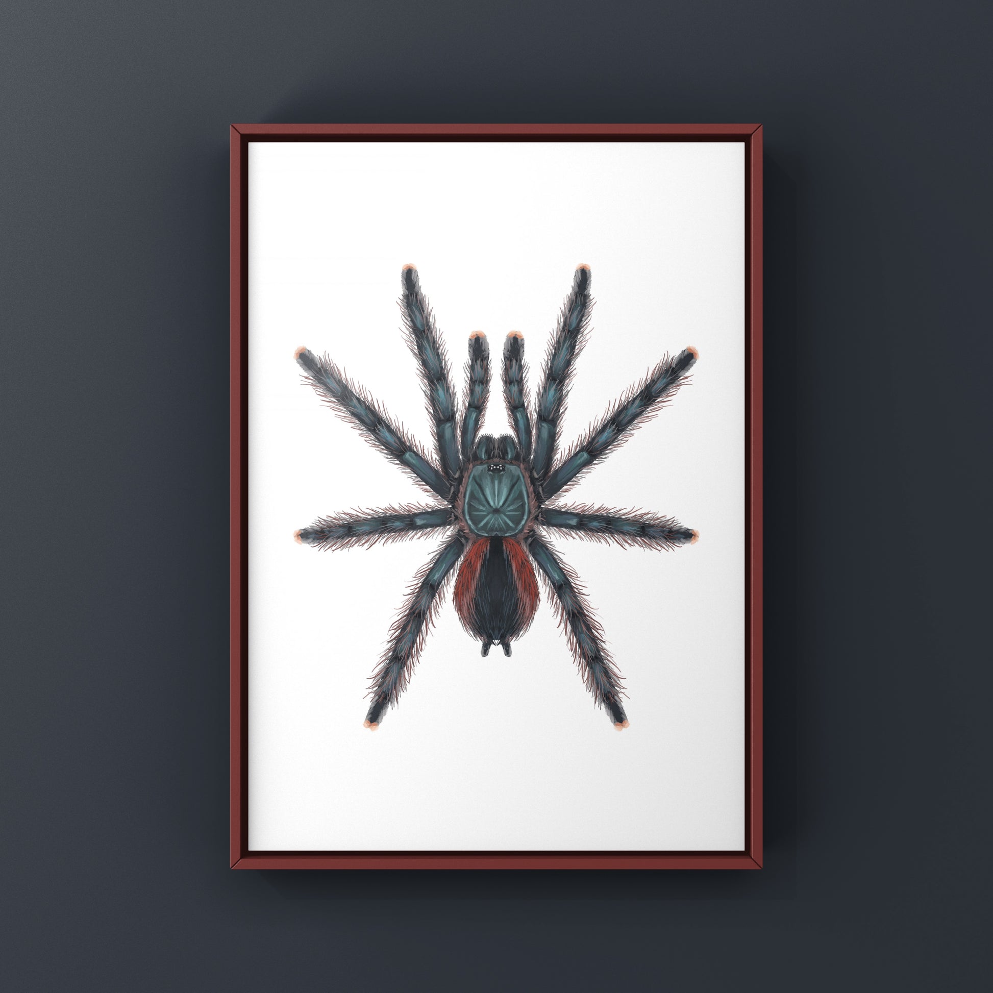 Colorful art print of a Goliath Pinktoe Tarantula (Avicularia braunshauseni) by The Silk Ranch, showcasing detailed spider illustration.