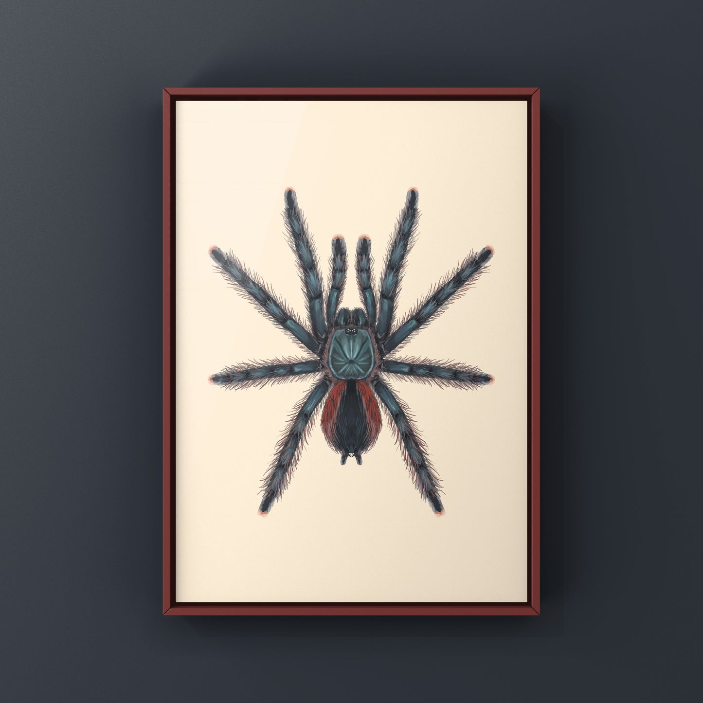 Pinktoe tarantula art print featuring the Goliath Pinktoe Tarantula (Avicularia braunshauseni) by The Silk Ranch.