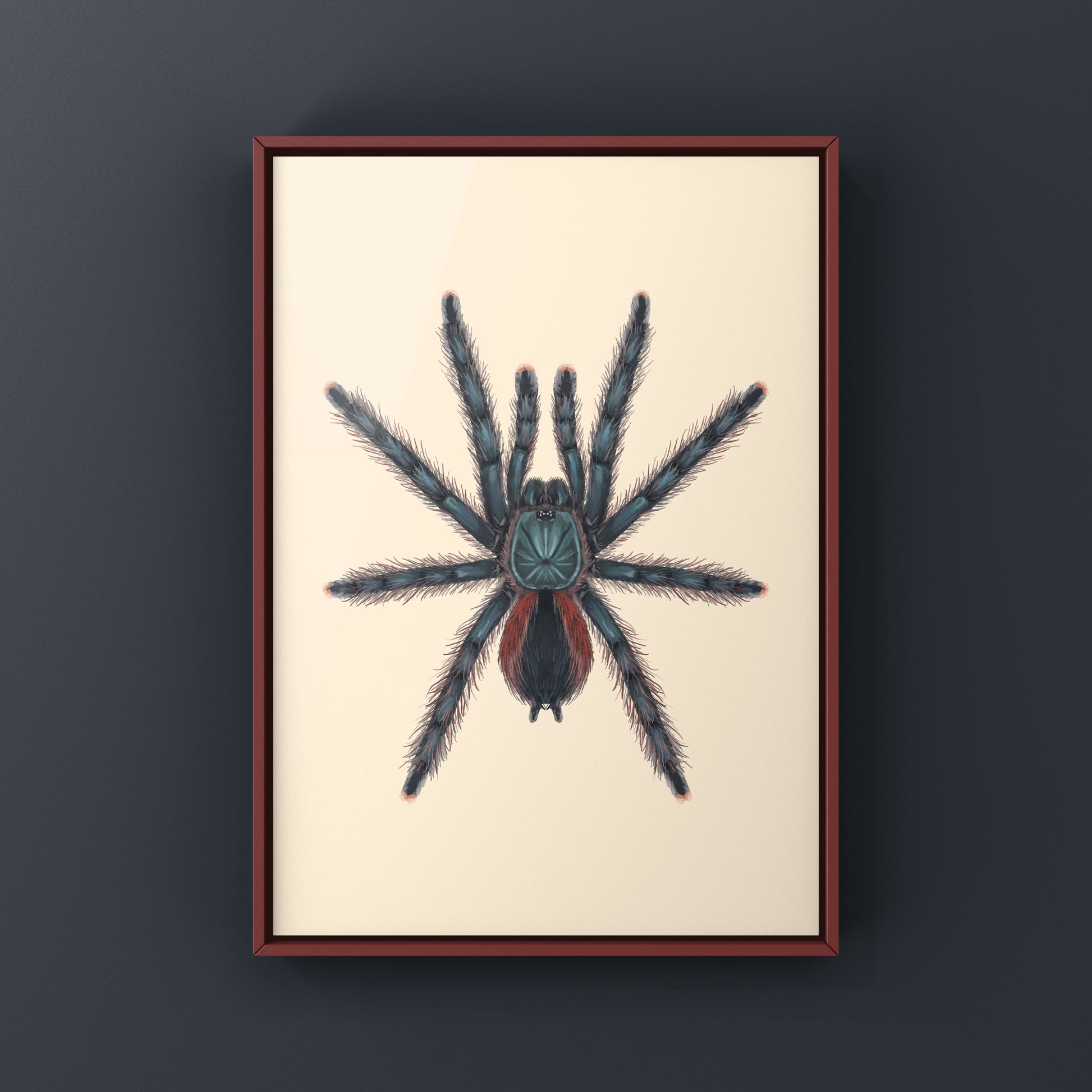 Pinktoe tarantula art print featuring the Goliath Pinktoe Tarantula (Avicularia braunshauseni) by The Silk Ranch.