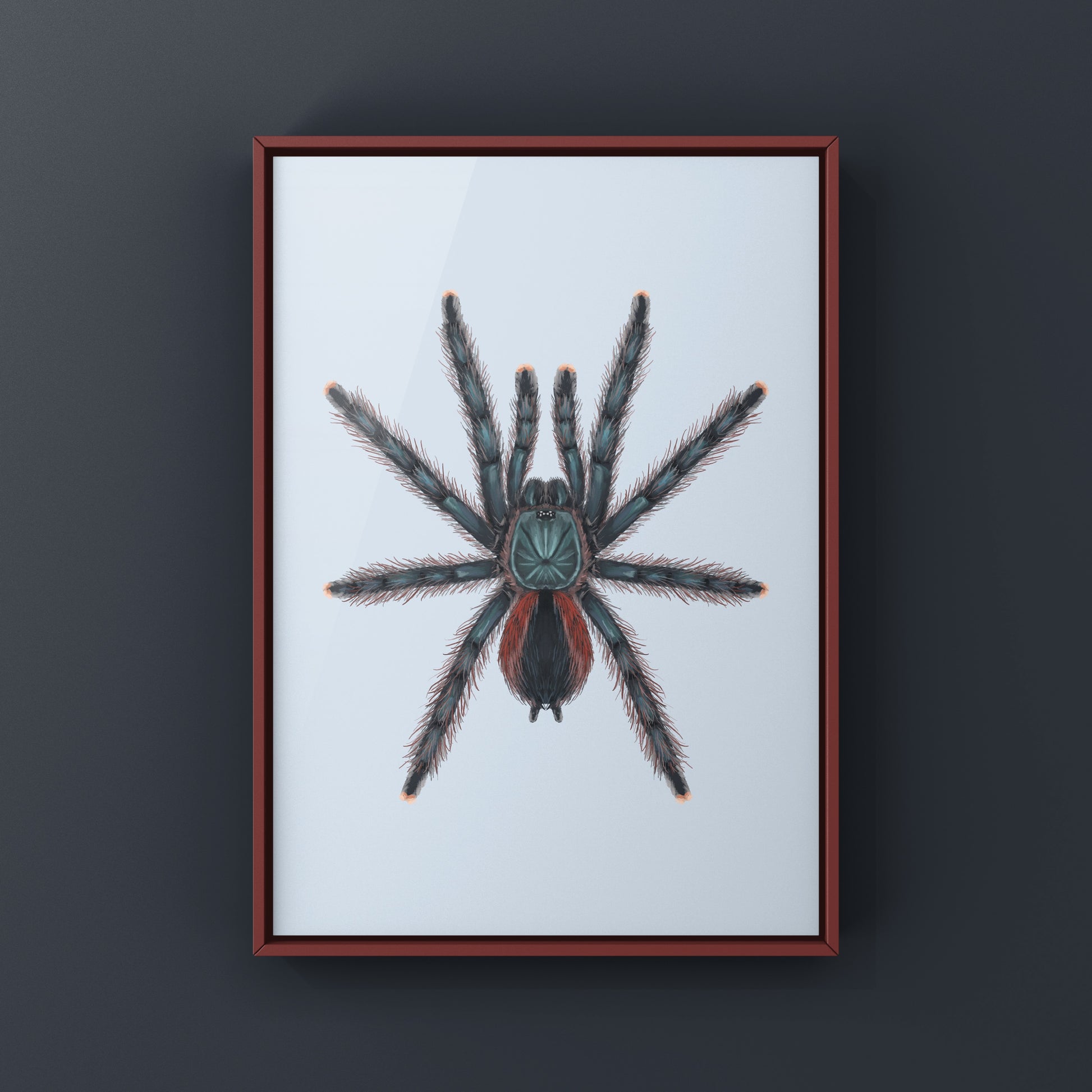 Goliath Pinktoe Tarantula (Avicularia braunshauseni) art print featuring detailed illustration of the pinktoe tarantula species.
