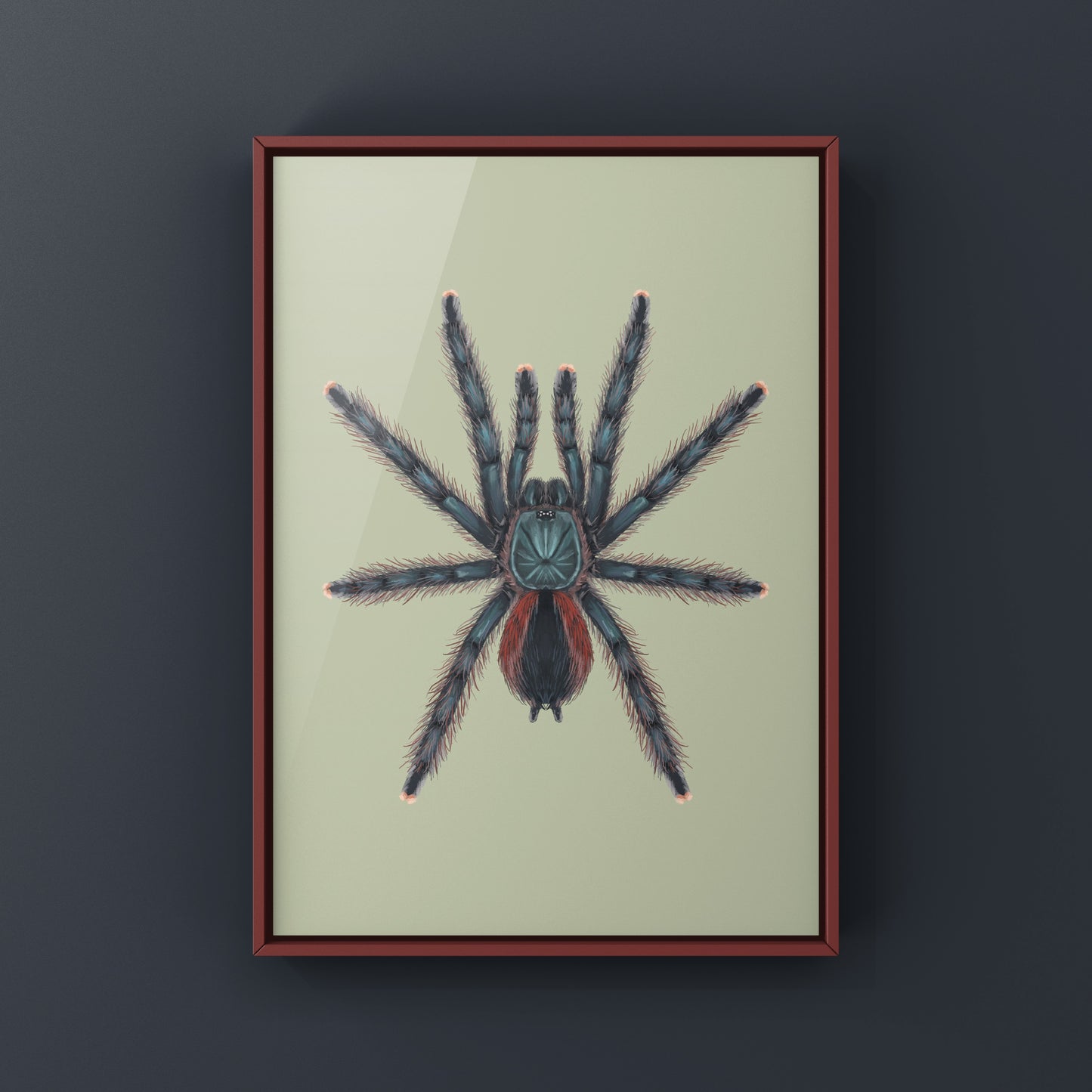 Pinktoe tarantula art print featuring the Goliath Pinktoe Tarantula (Avicularia braunshauseni) by The Silk Ranch.