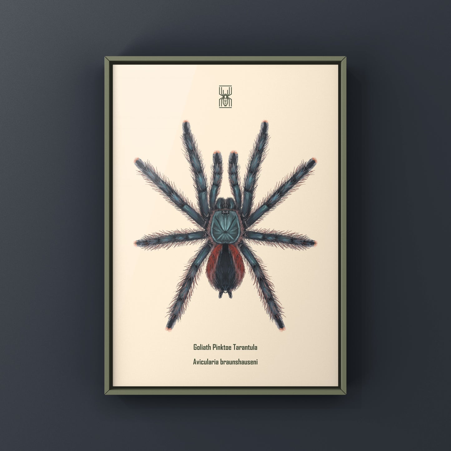 Pinktoe tarantula art print featuring a Goliath Pinktoe Tarantula (Avicularia braunshauseni) with vibrant pink and brown tones.