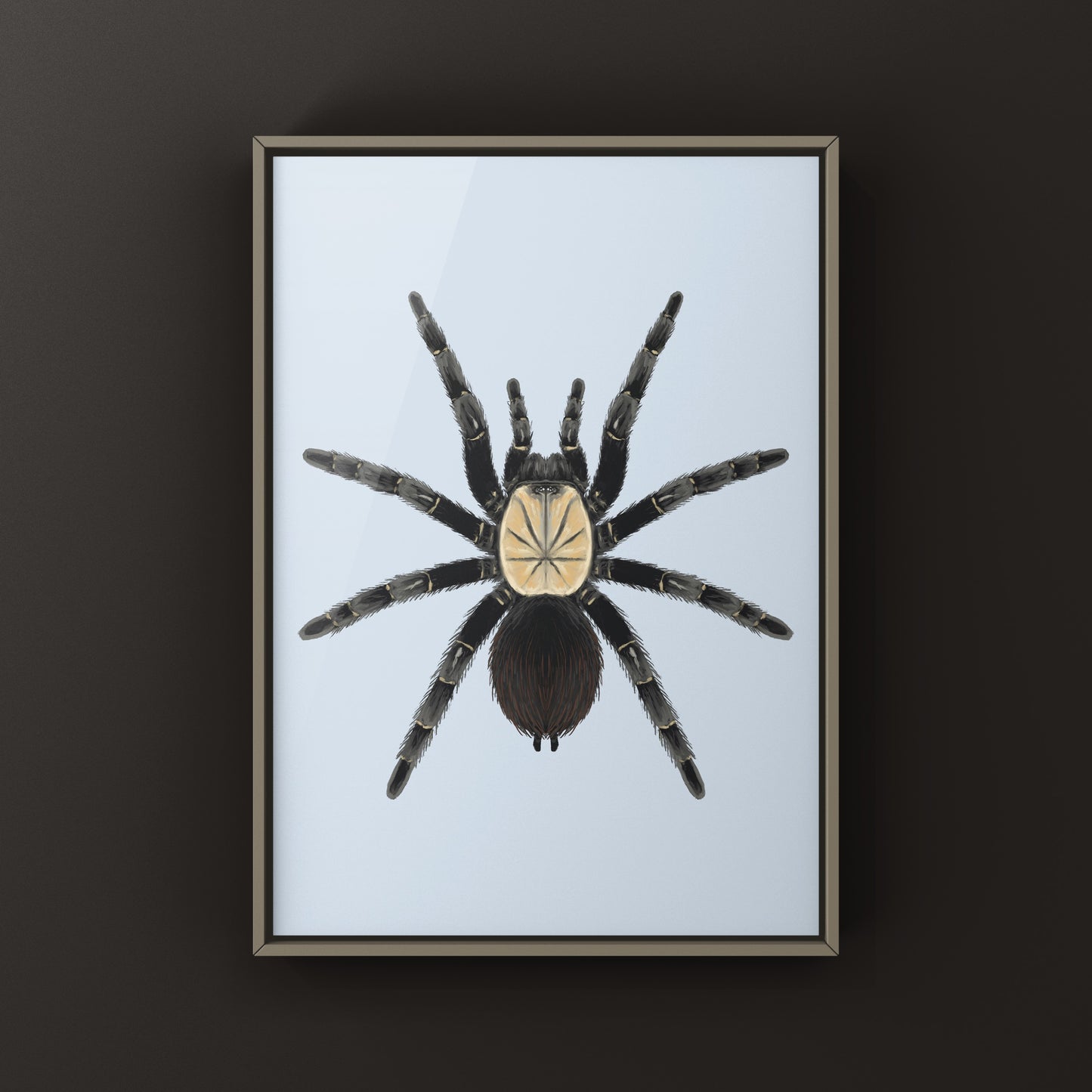 Thai Bamboo Tarantula art print by The Silk Ranch featuring detailed depiction of the Taksinus bambus tarantula on bamboo.