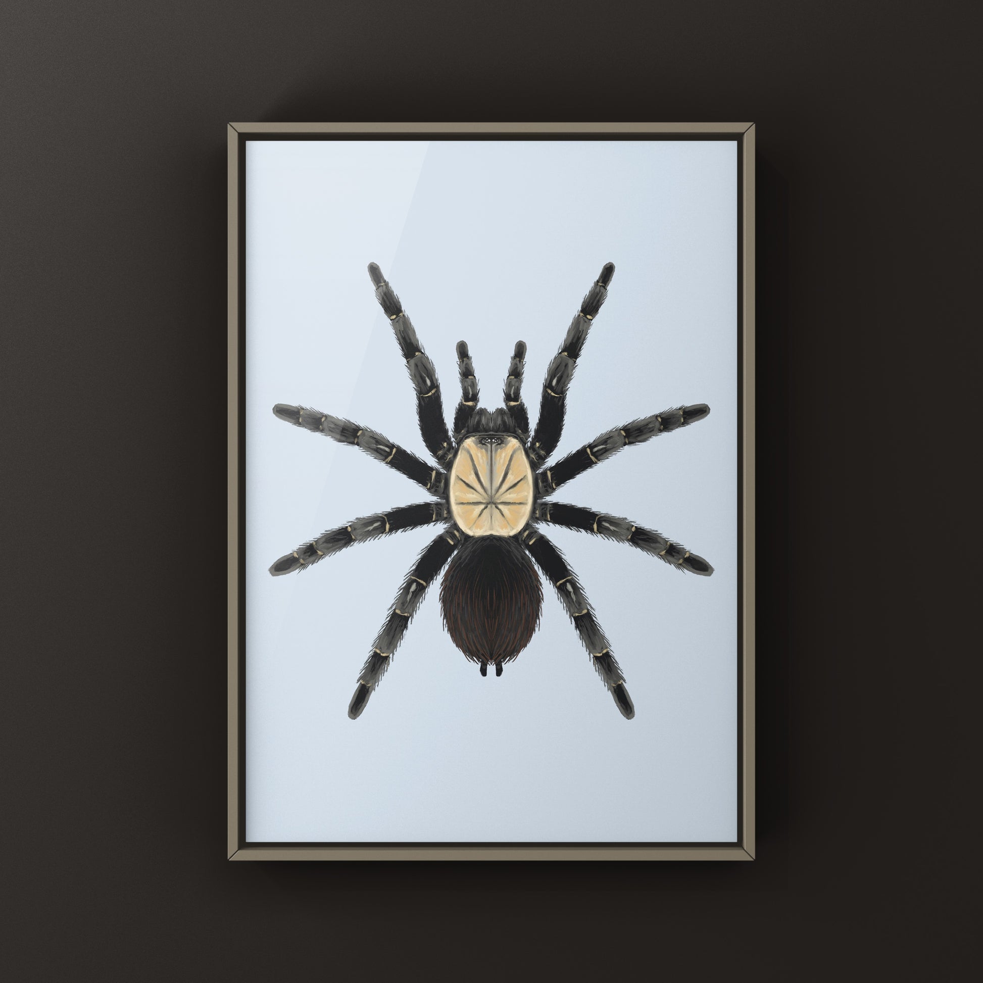 Thai Bamboo Tarantula art print by The Silk Ranch featuring detailed depiction of the Taksinus bambus tarantula on bamboo.