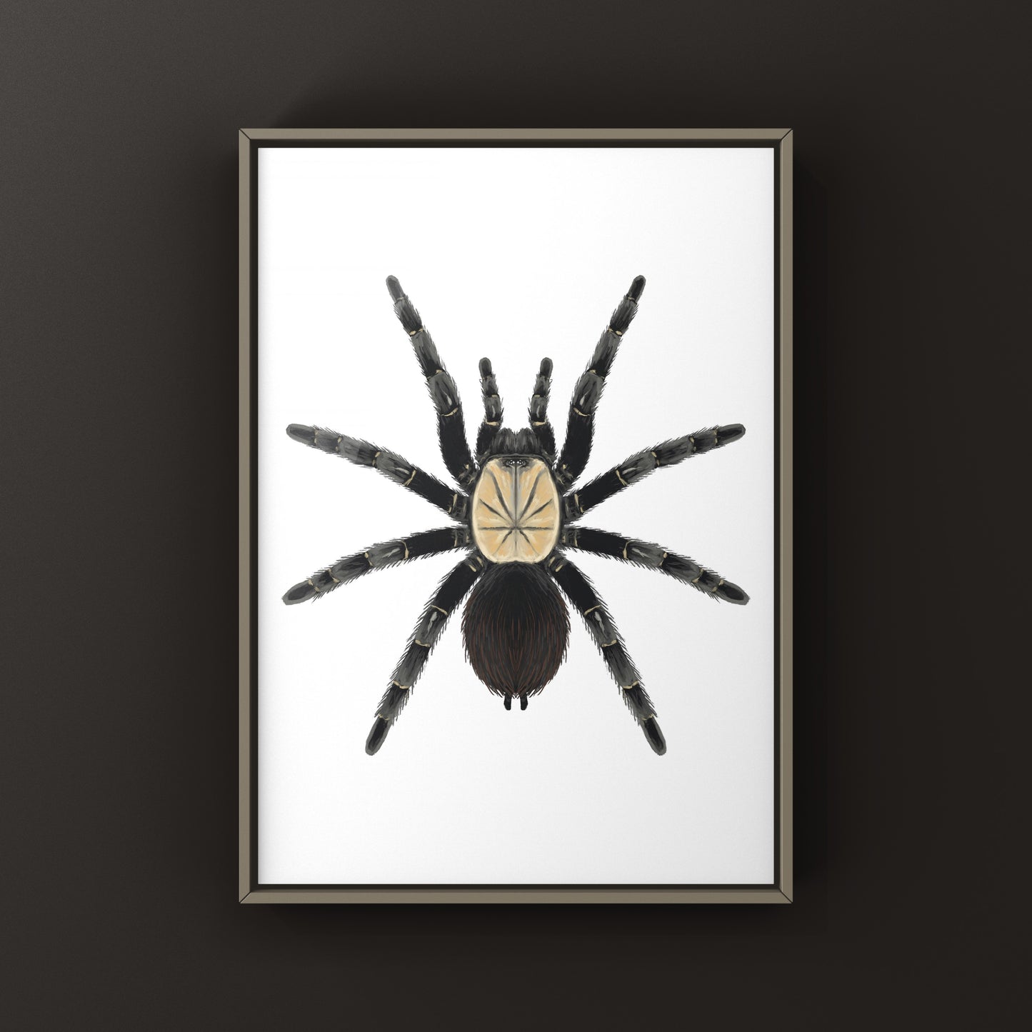 Thai Bamboo Tarantula art print by The Silk Ranch showing detailed illustration of the tarantula on bamboo background