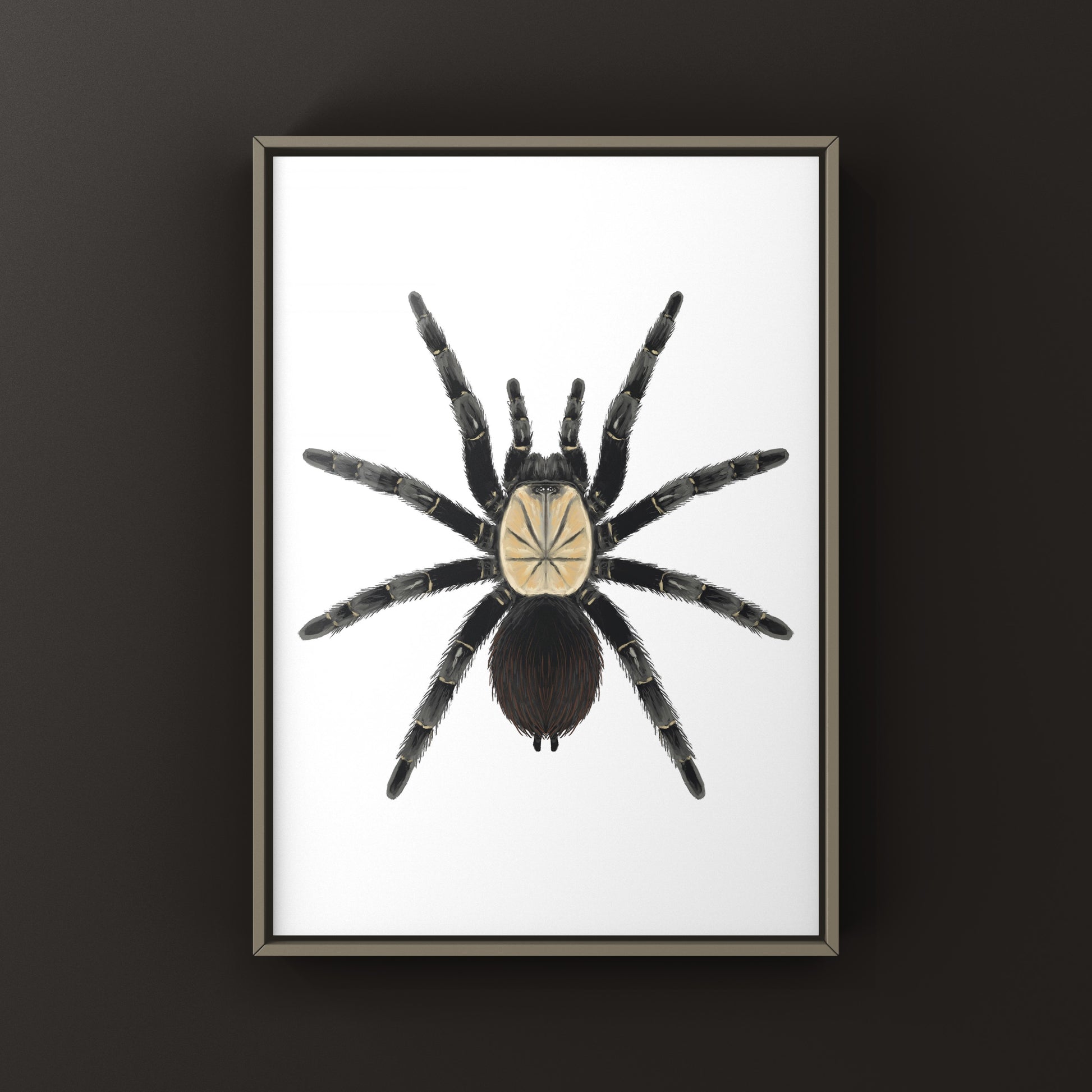 Thai Bamboo Tarantula art print by The Silk Ranch showing detailed illustration of the tarantula on bamboo background