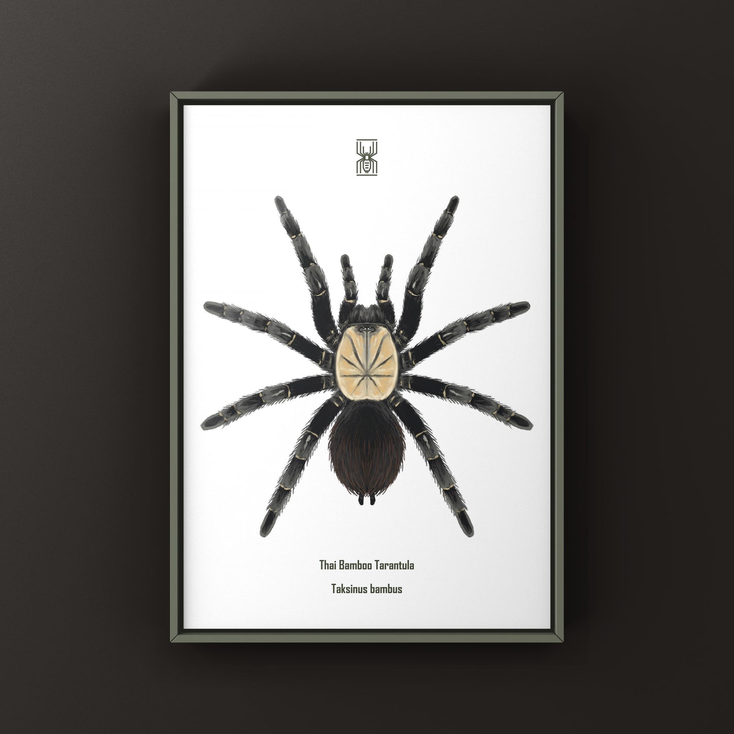Thai bamboo tarantula art print by The Silk Ranch showcasing detailed bamboo and tarantula illustration on high-quality paper.