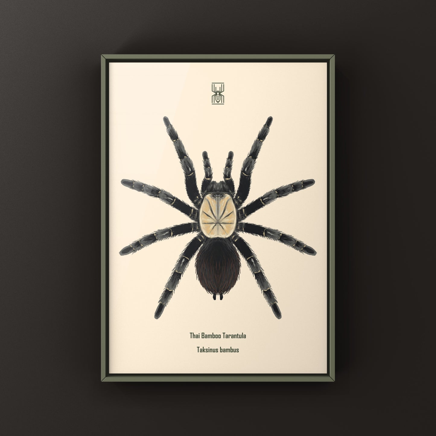 Thai bamboo tarantula art print by The Silk Ranch, featuring detailed illustration of the Taksinus bambus spider on textured paper.