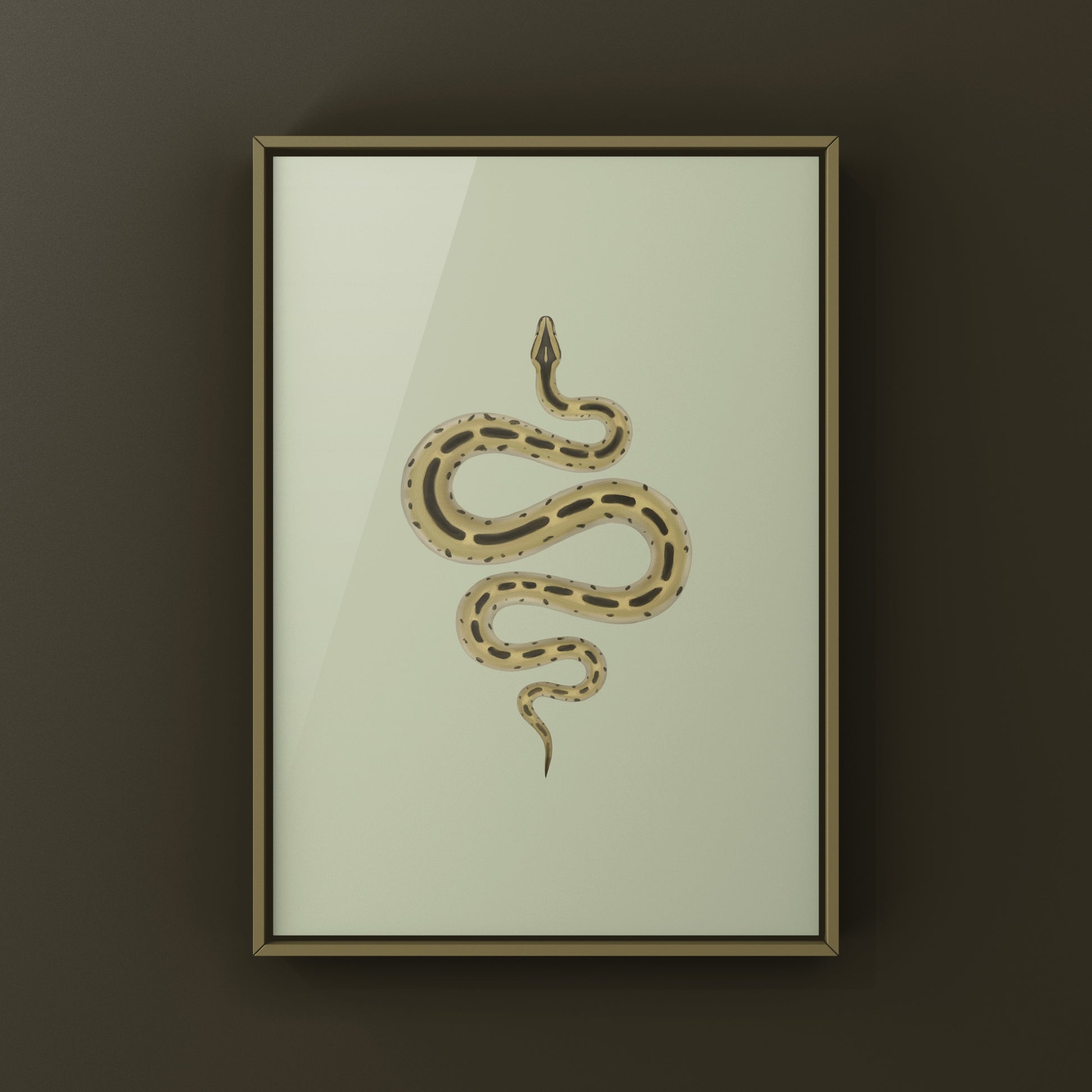 Green Burmese Python (Python bivittatus) Art Print from The Silk Ranch
