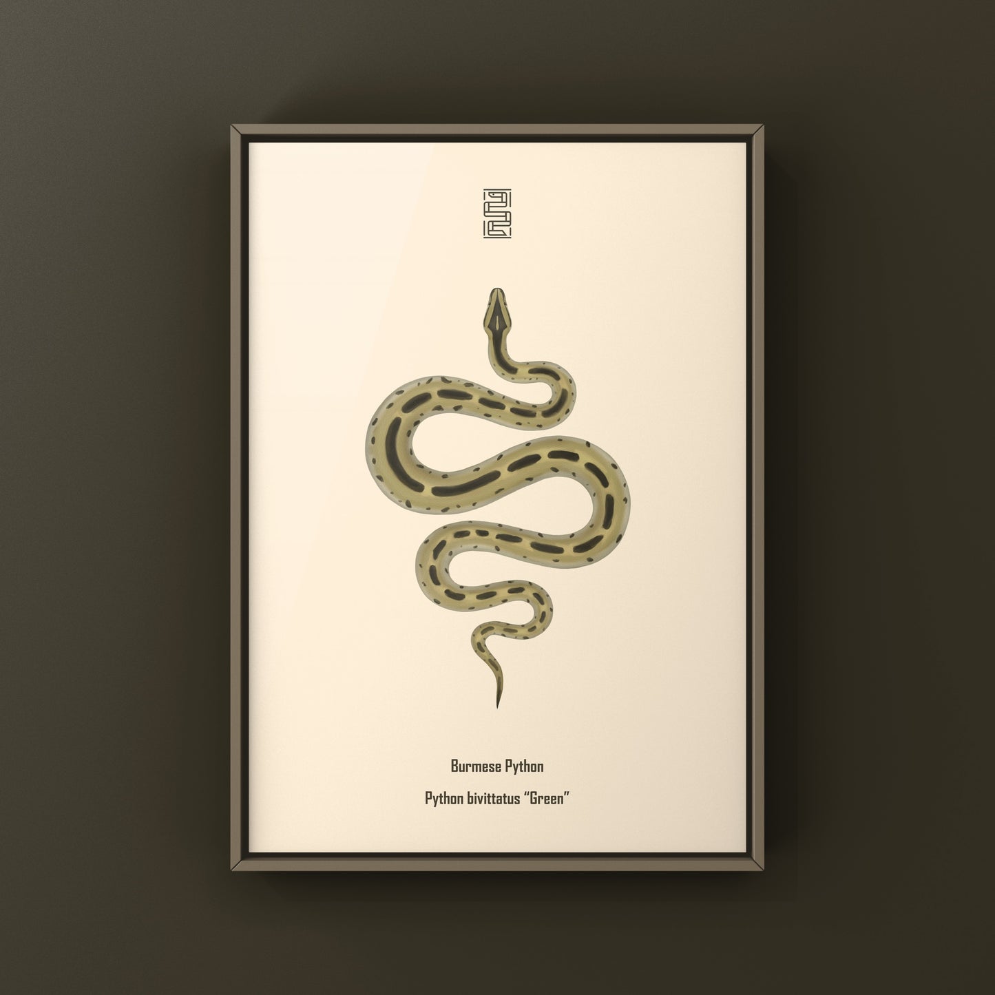 Green Burmese Python (Python bivittatus) Art Print from The Silk Ranch