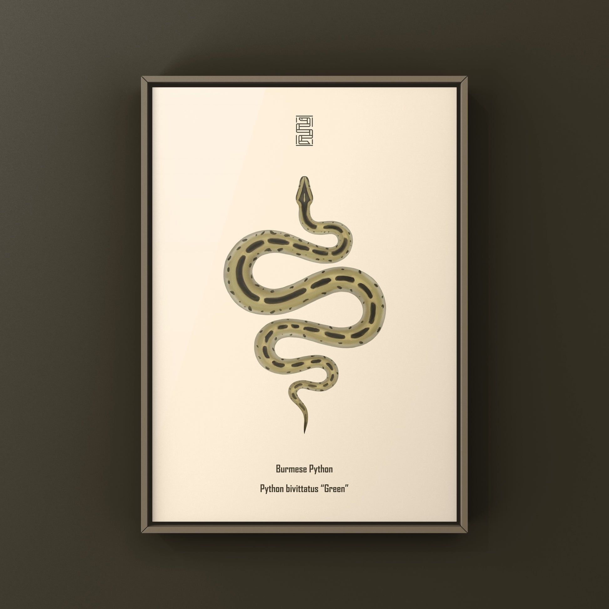 Green Burmese Python (Python bivittatus) Art Print from The Silk Ranch