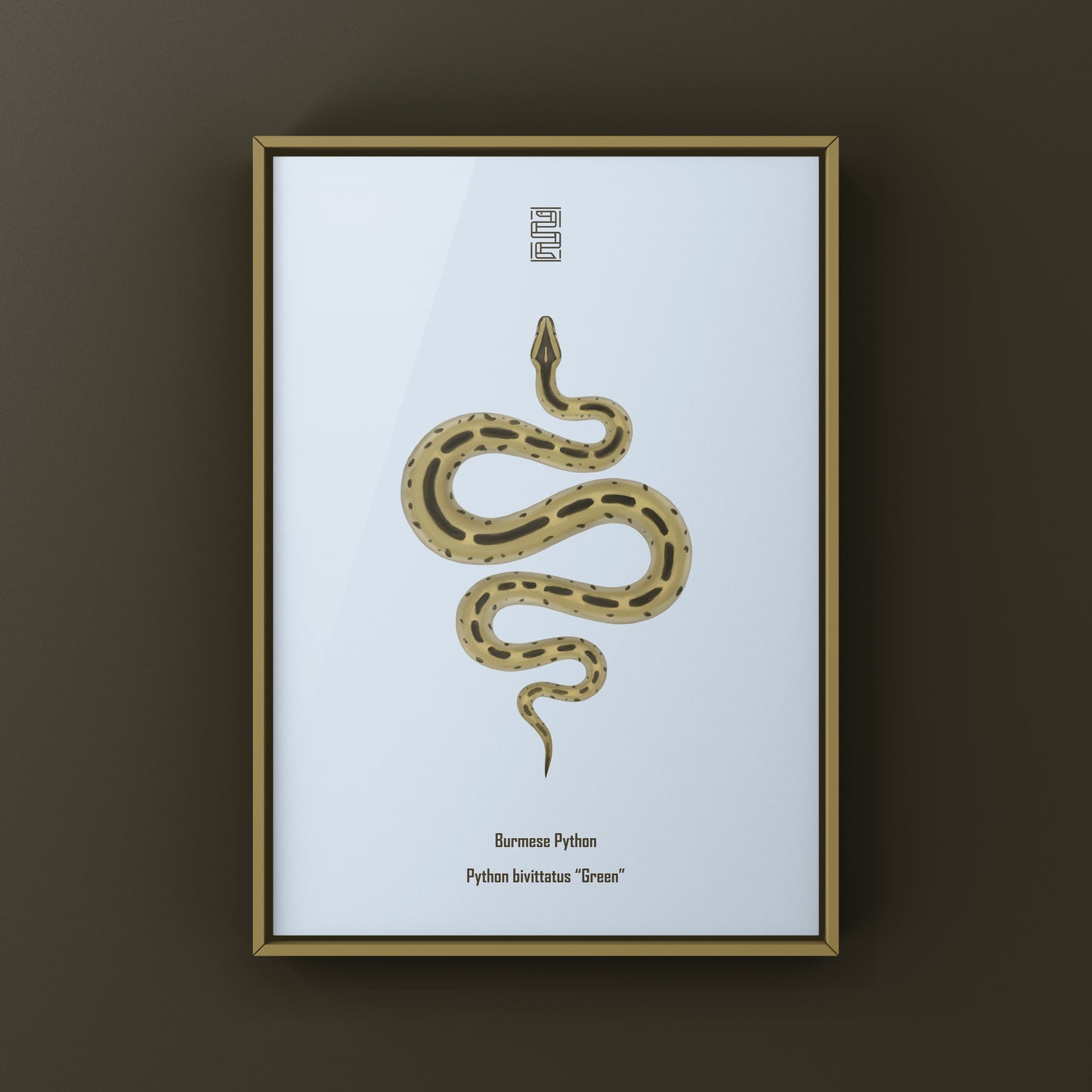 Green Burmese Python (Python bivittatus) Art Print from The Silk Ranch
