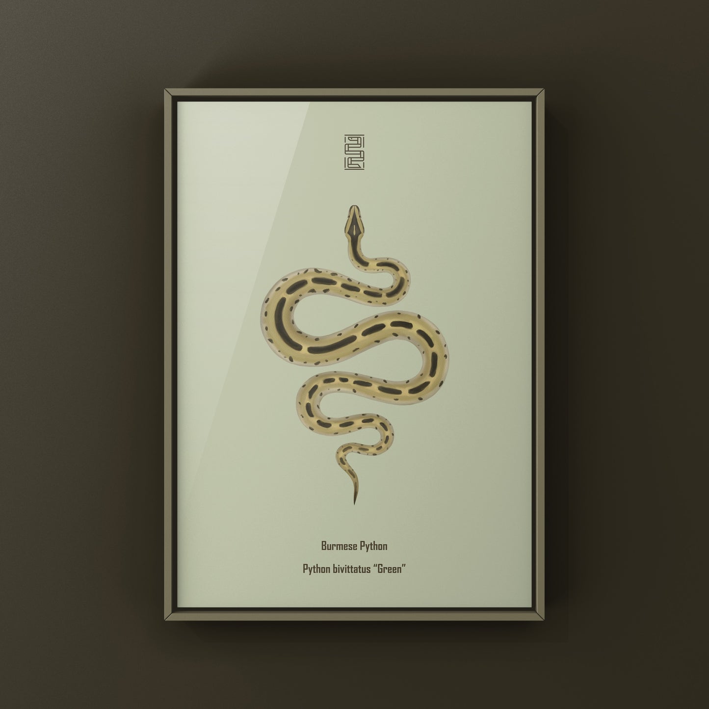 Green Burmese Python (Python bivittatus) Art Print from The Silk Ranch