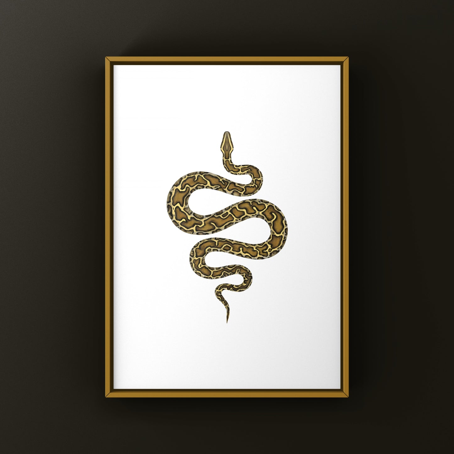 Burmese Python (Python bivittatus) Art Print from The Silk Ranch