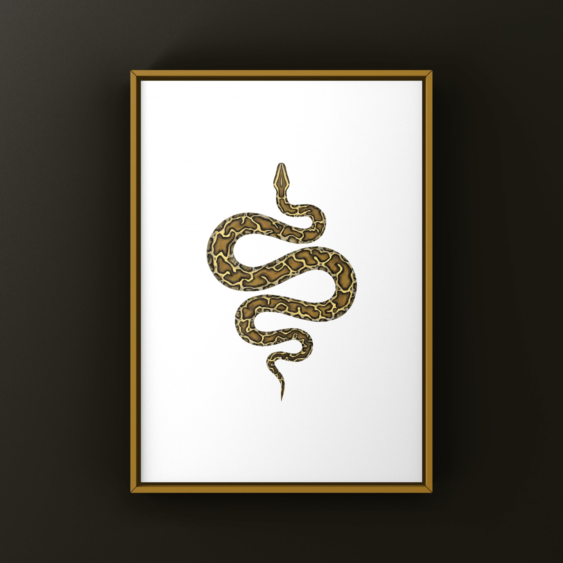 Burmese Python (Python bivittatus) Art Print from The Silk Ranch