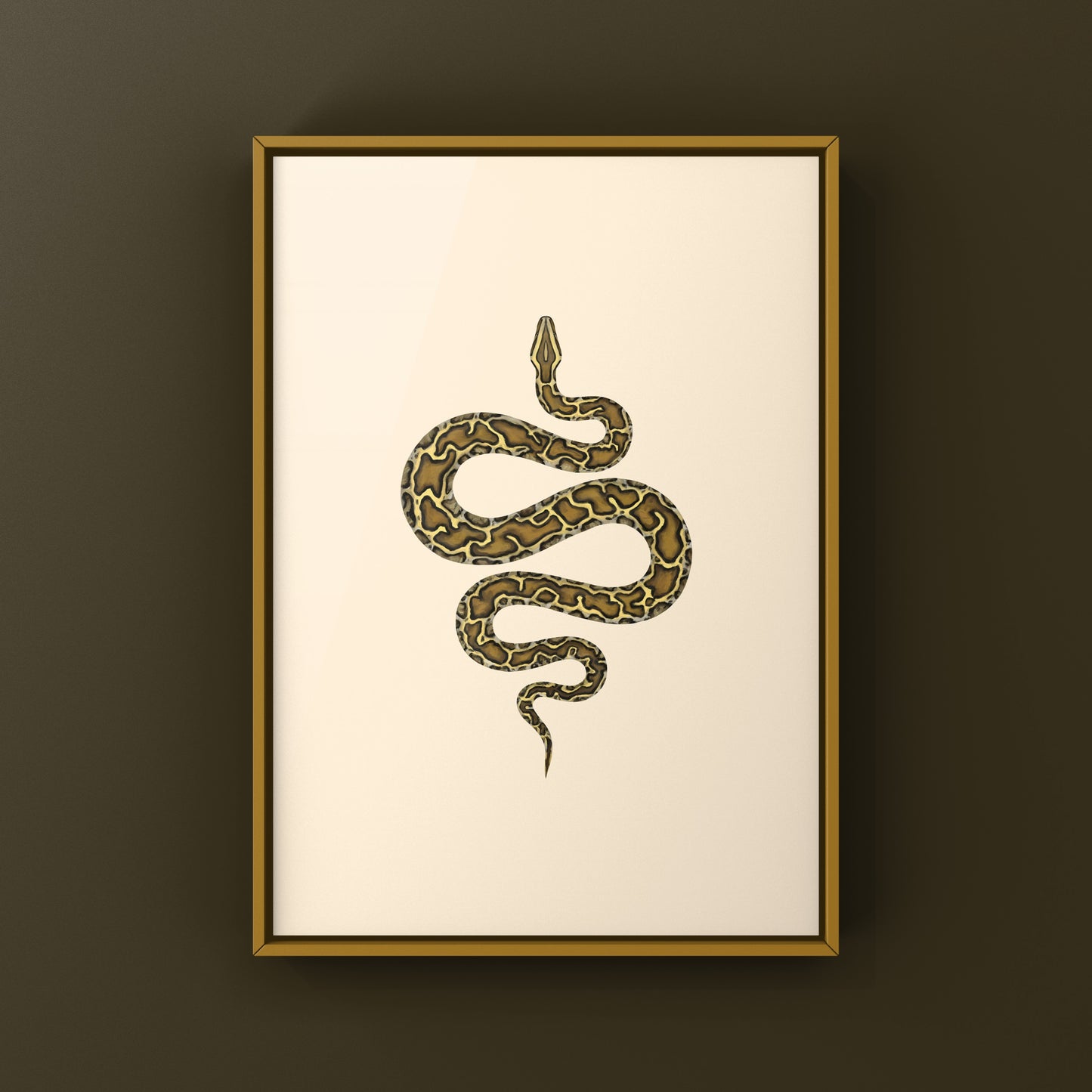 Burmese Python (Python bivittatus) Art Print from The Silk Ranch