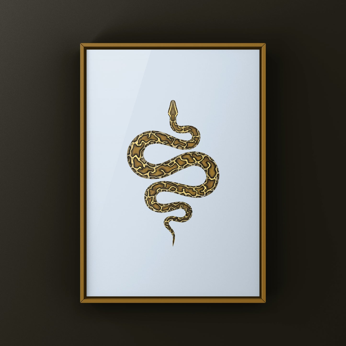 Burmese Python (Python bivittatus) Art Print from The Silk Ranch