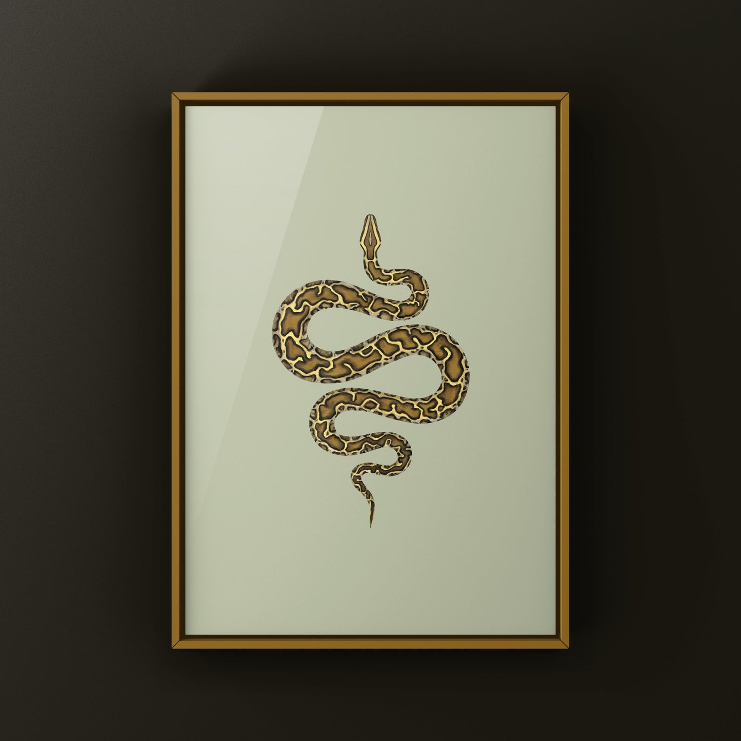Burmese Python (Python bivittatus) Art Print from The Silk Ranch