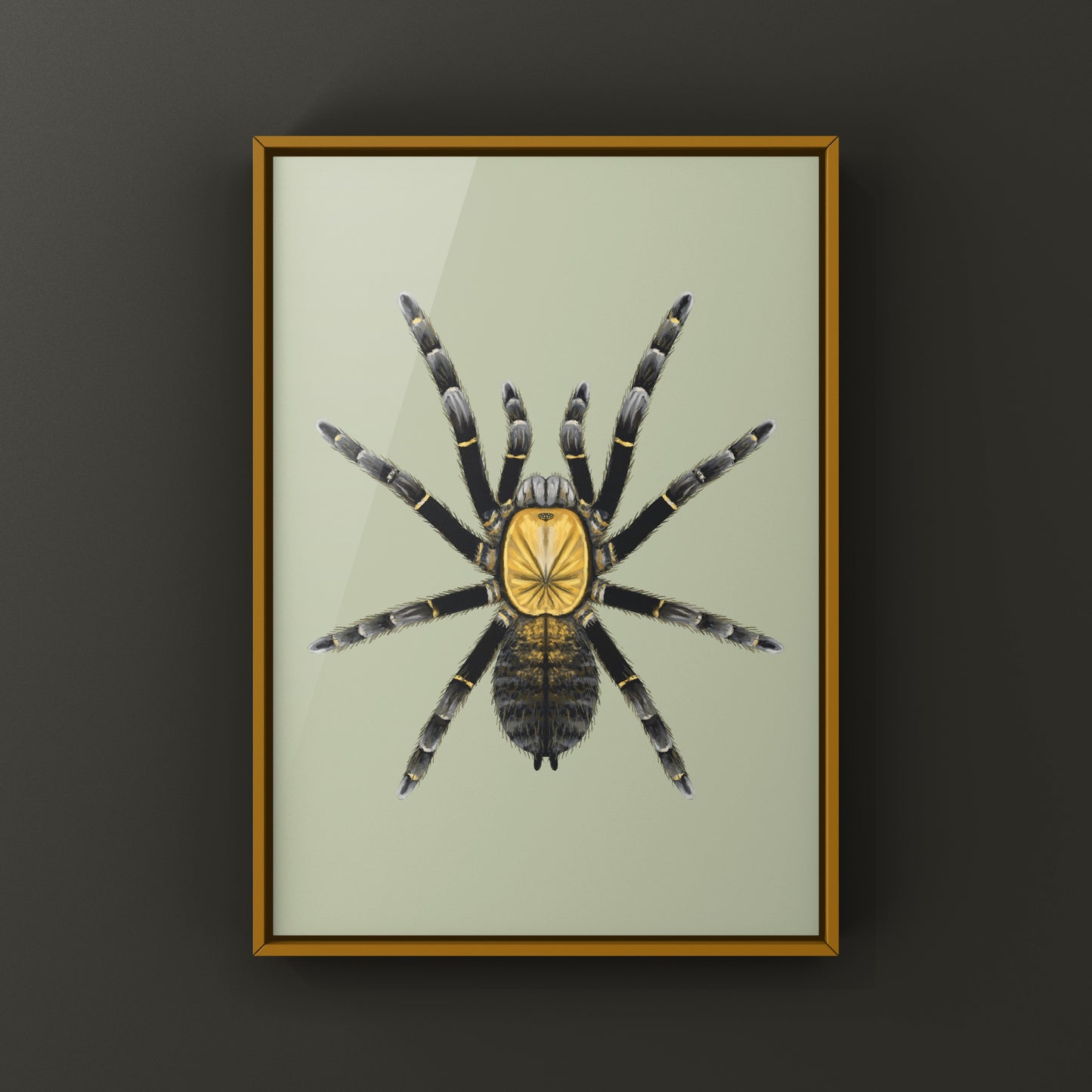 Colorful art print of a Ho Chi Minh Earth Tiger Tarantula (Ornithoctoninae sp.) showcasing detailed spider illustration.