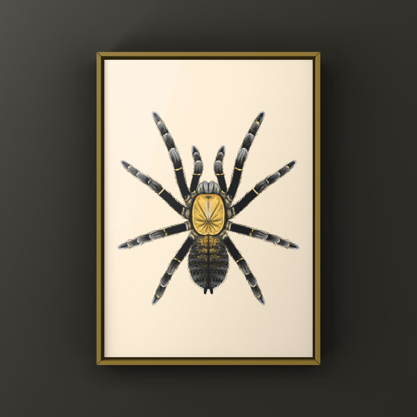 Art print of a Ho Chi Minh Earth Tiger Tarantula (Ornithoctoninae sp. Ho Chi Minh) showcasing detailed spider illustration.