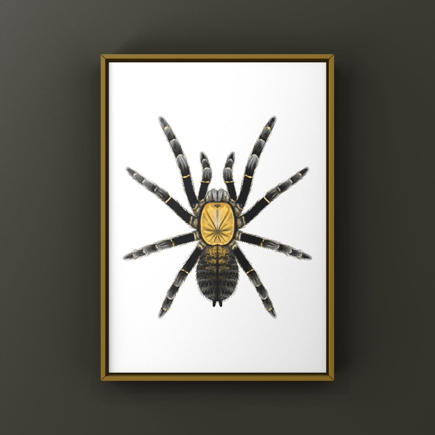 Art print of a Ho Chi Minh Earth Tiger Tarantula (Ornithoctoninae sp.) showcasing detailed, realistic spider illustration.