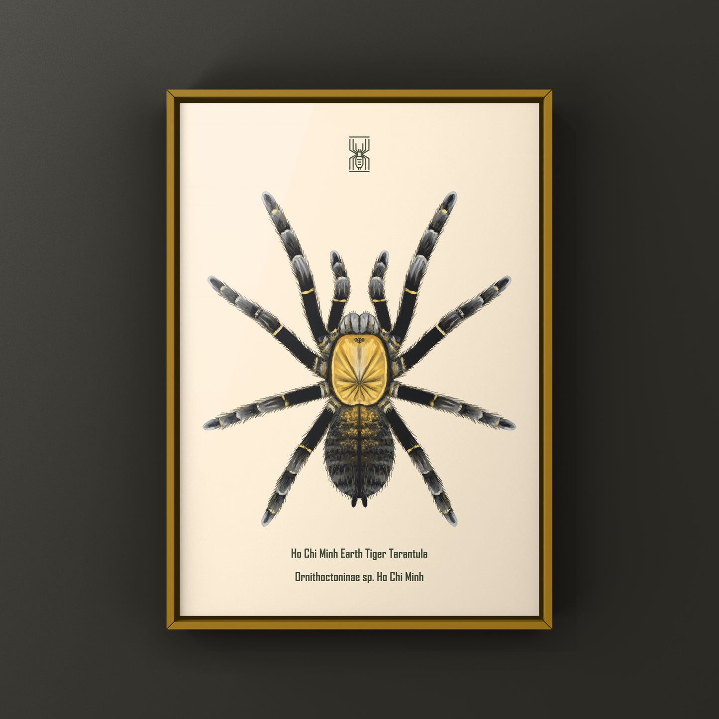 Colorful art print of a Ho Chi Minh Earth Tiger Tarantula (Ornithoctoninae sp.) showcasing intricate details and vibrant hues.