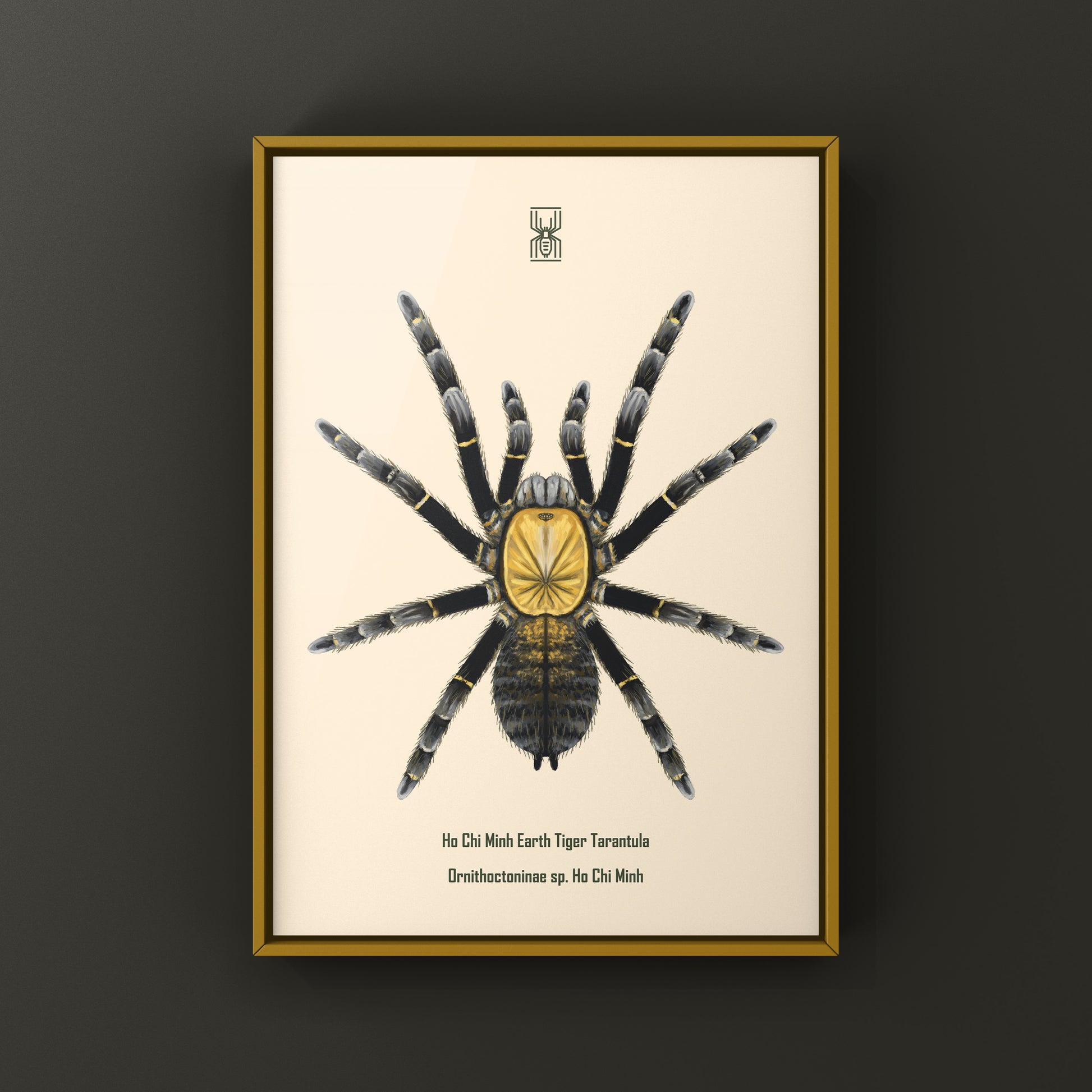 Colorful art print of a Ho Chi Minh Earth Tiger Tarantula (Ornithoctoninae sp.) showcasing intricate details and vibrant hues.