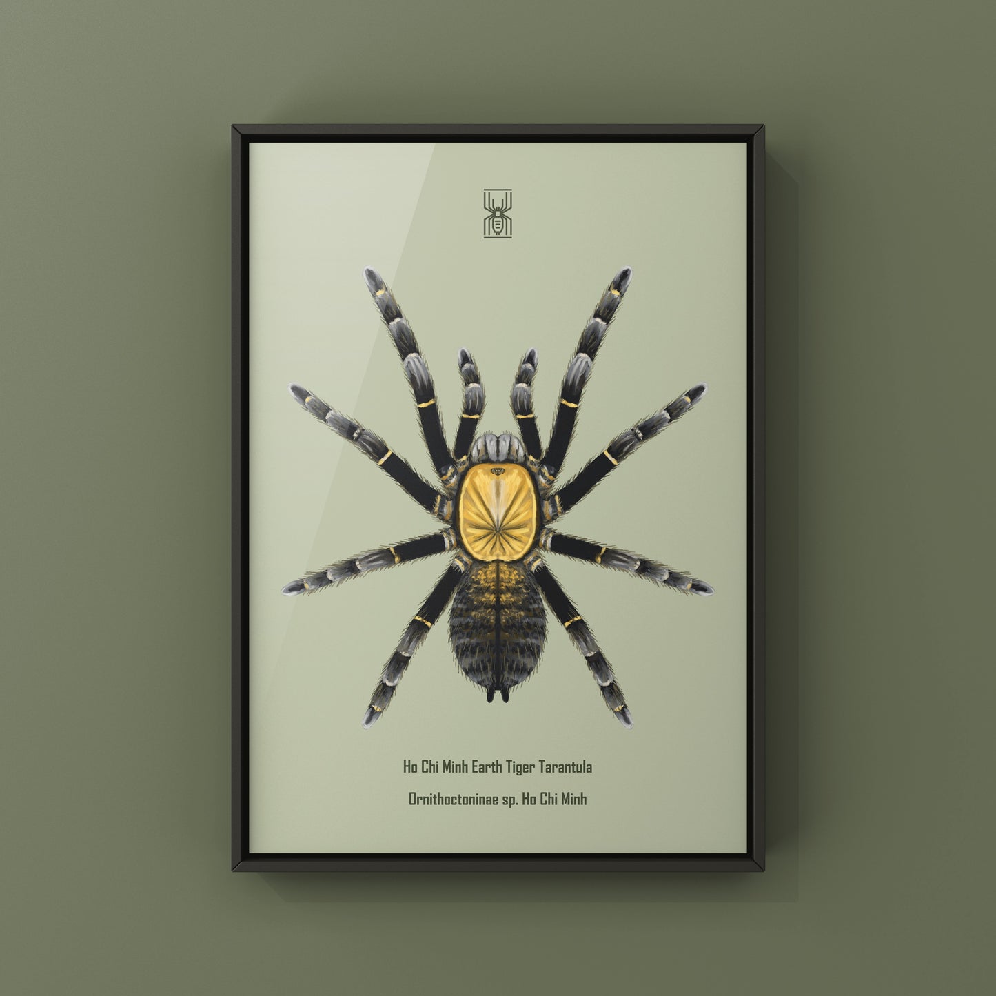 Art print of a Ho Chi Minh Earth Tiger Tarantula (Ornithoctoninae sp. Ho Chi Minh) by The Silk Ranch, showcasing detailed spider imagery.