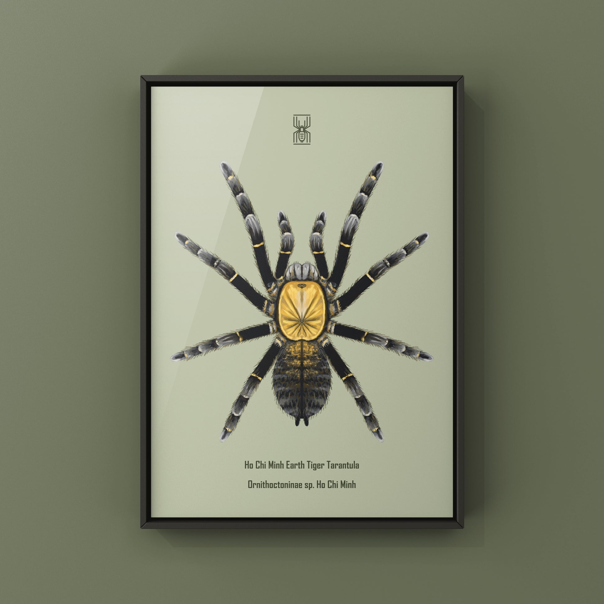 Art print of a Ho Chi Minh Earth Tiger Tarantula (Ornithoctoninae sp. Ho Chi Minh) by The Silk Ranch, showcasing detailed spider imagery.