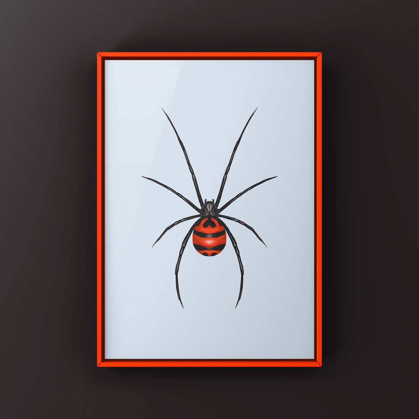 South American Black Widow art print by The Silk Ranch showing detailed illustration of the Latrodectus curacaviensis spider.