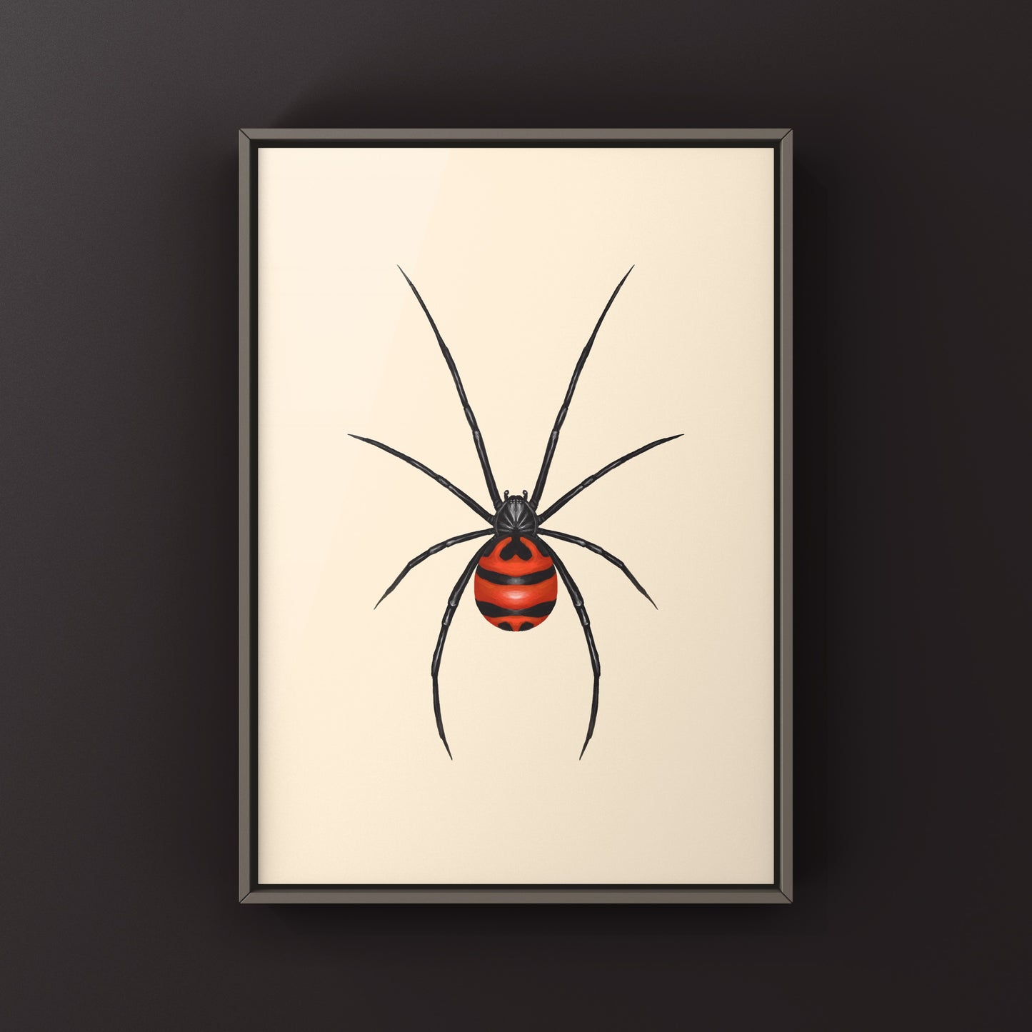 South American Black Widow art print by The Silk Ranch showing detailed depiction of the Latrodectus curacaviensis spider.