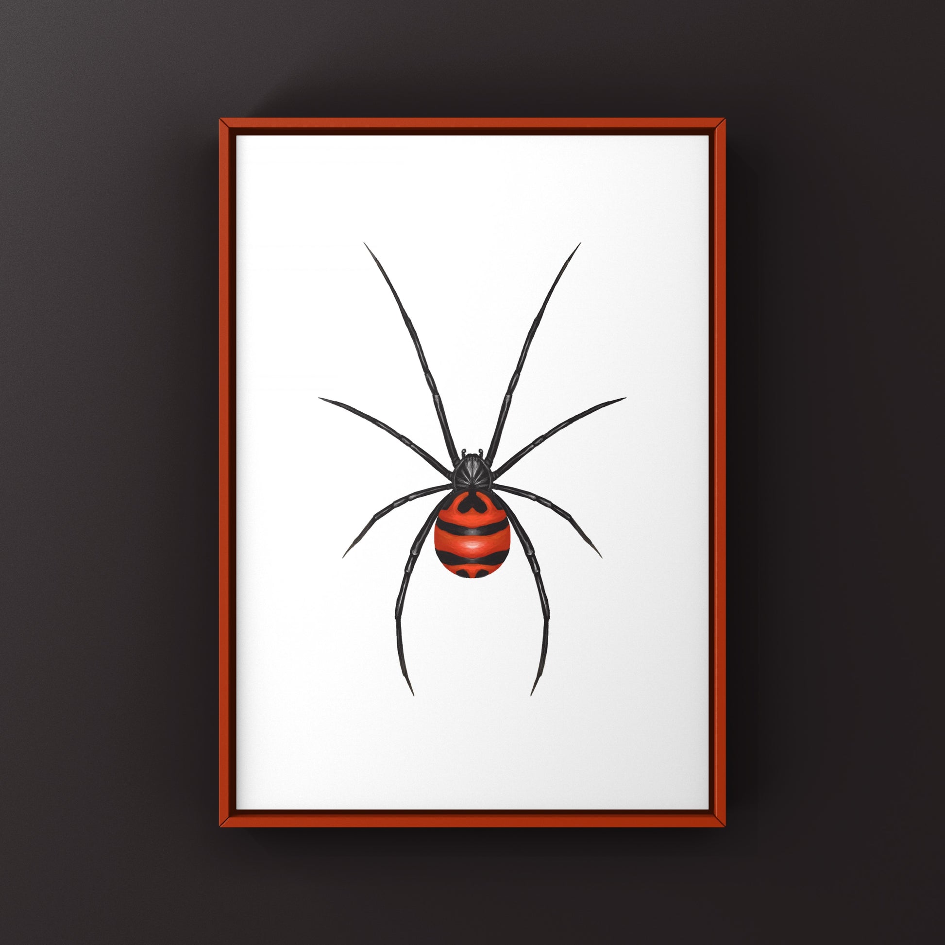 South American Black Widow art print by The Silk Ranch, featuring detailed illustration of Latrodectus curacaviensis spider on white background.