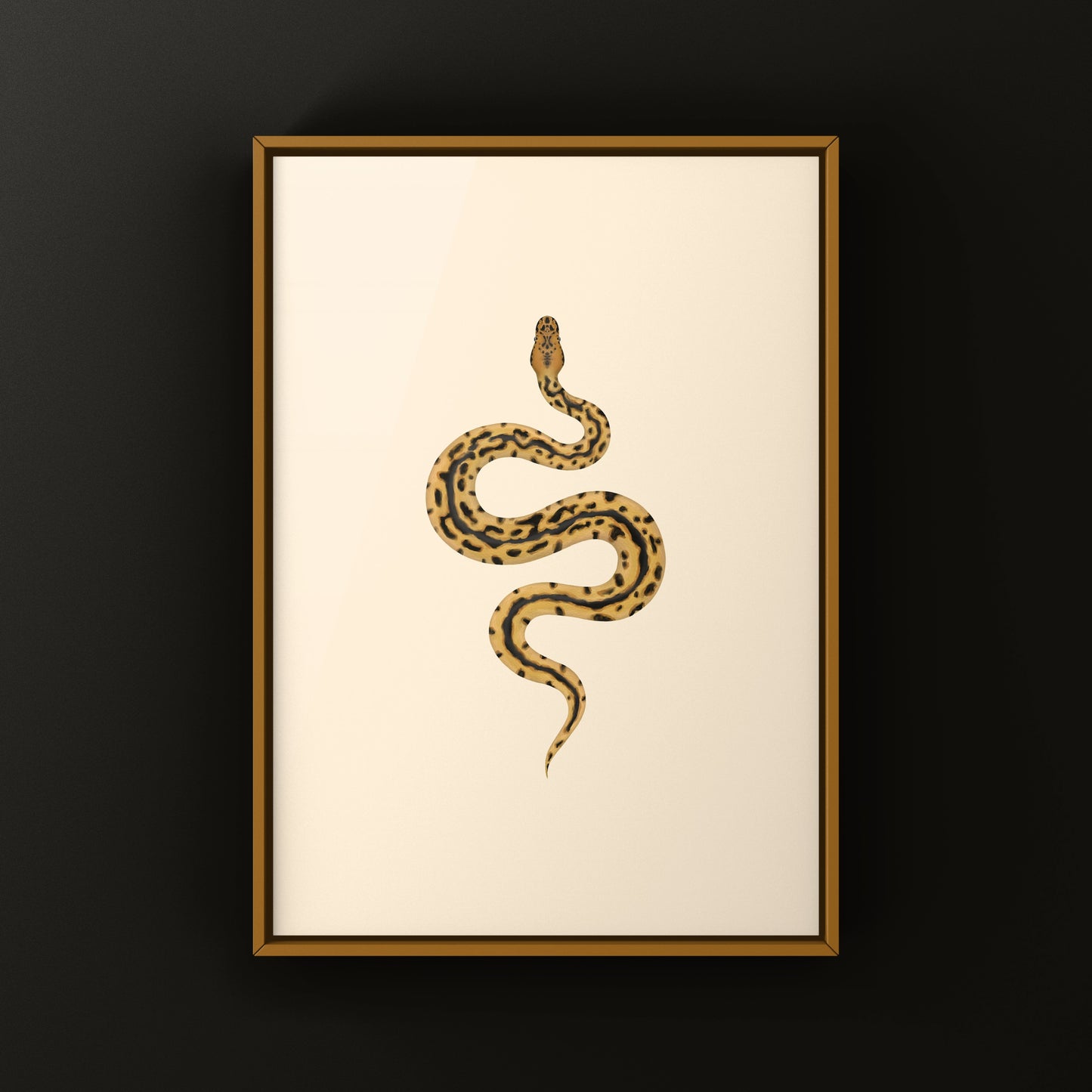 Batman Ball Python (Python regius) Art Print from The Silk Ranch