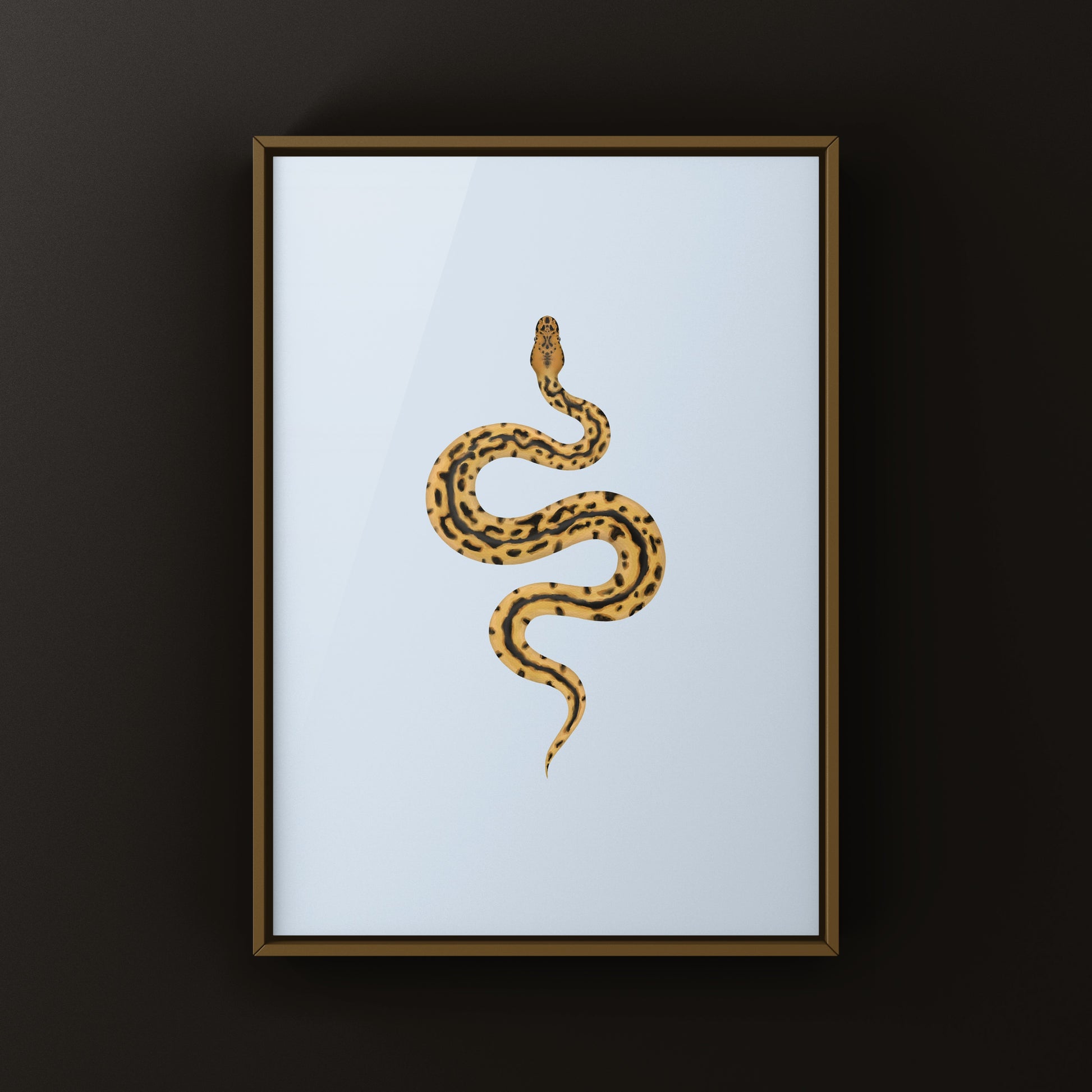 Batman Ball Python (Python regius) Art Print from The Silk Ranch