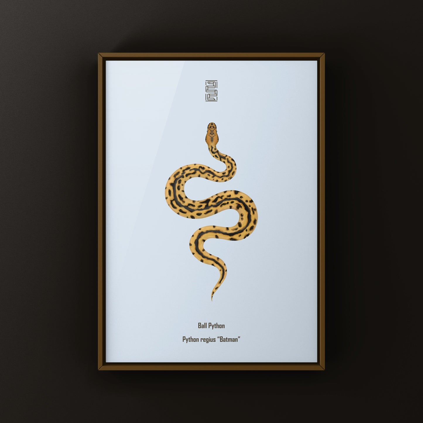 Batman Ball Python (Python regius) Art Print from The Silk Ranch