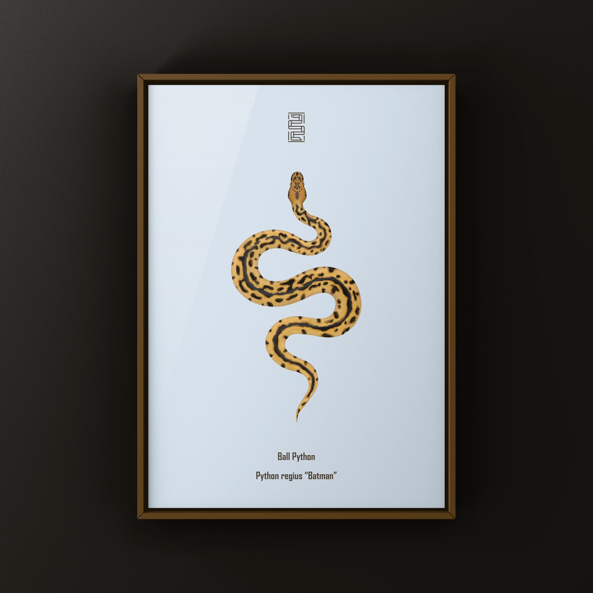 Batman Ball Python (Python regius) Art Print from The Silk Ranch