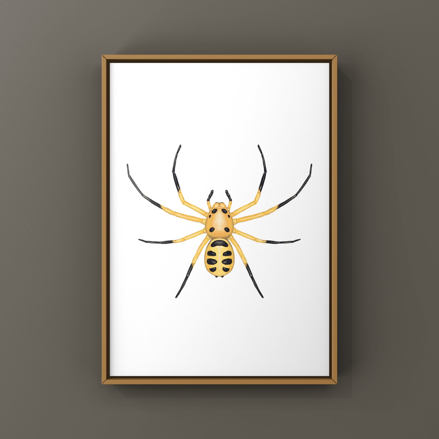 Colorful Pikachu Crab Spider art print by The Silk Ranch showing vibrant details of Platythomisus octomaculatus on white background.