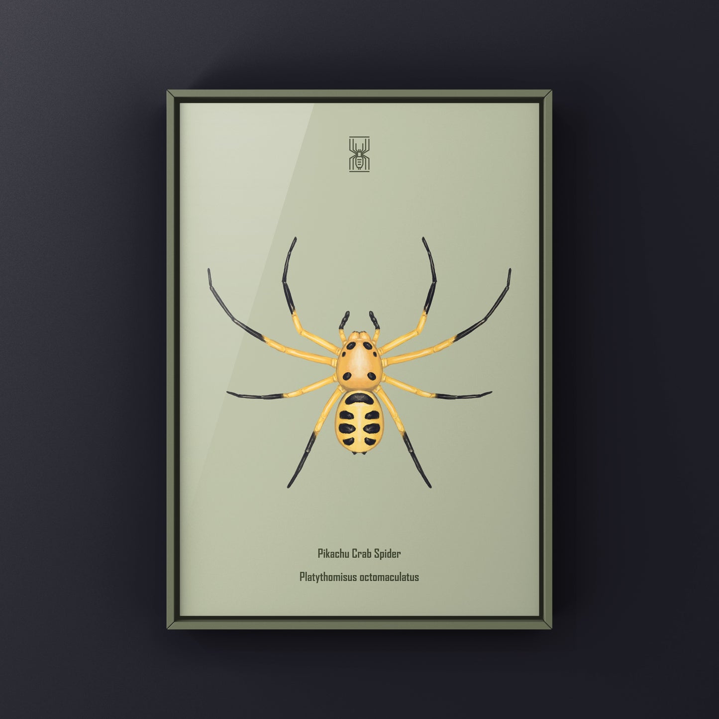 Colorful Pikachu Crab Spider art print featuring vibrant details of Platythomisus octomaculatus on a decorative background.